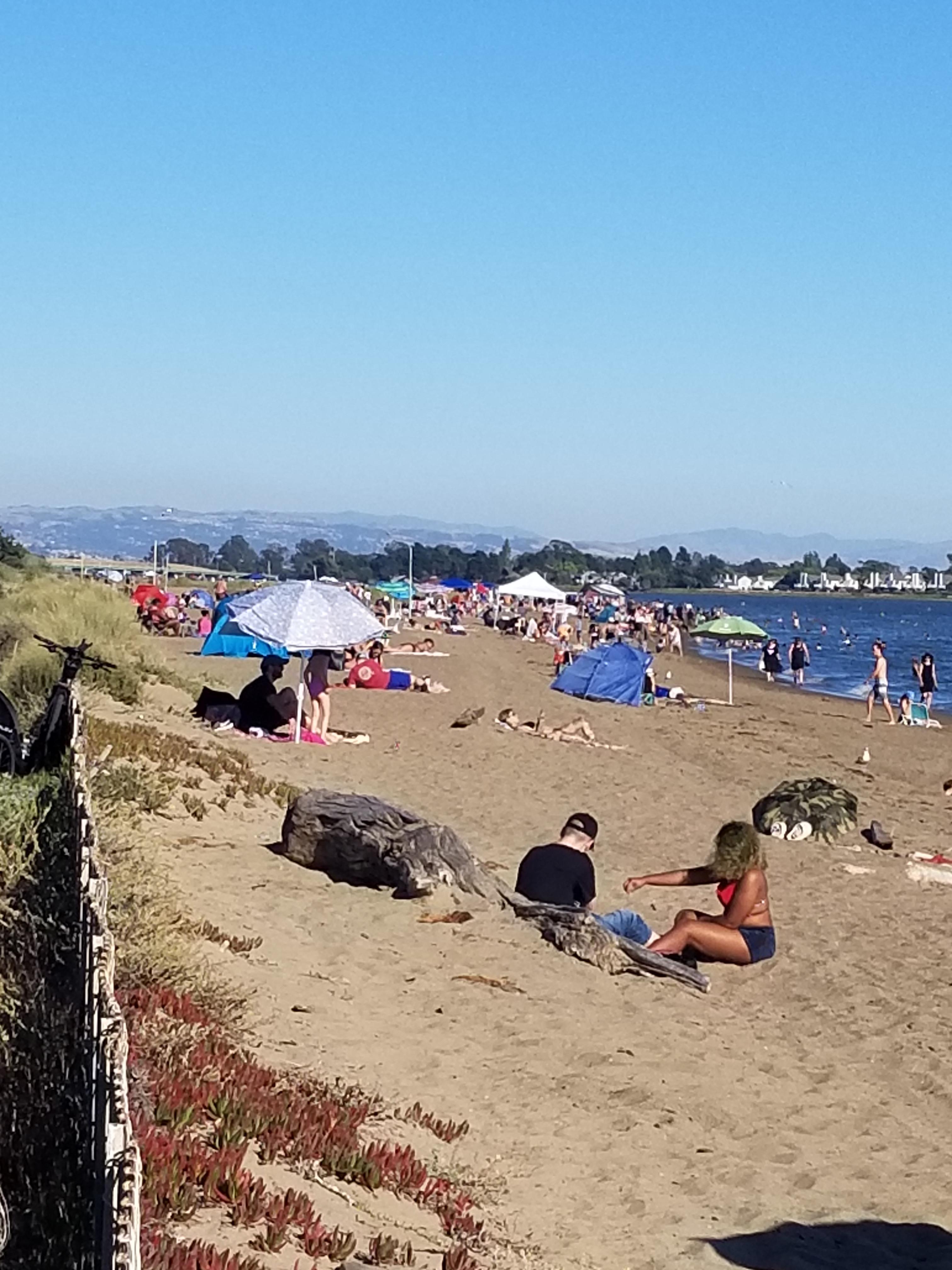 Alameda Beach right now. Never seen it this busy before. r/alameda