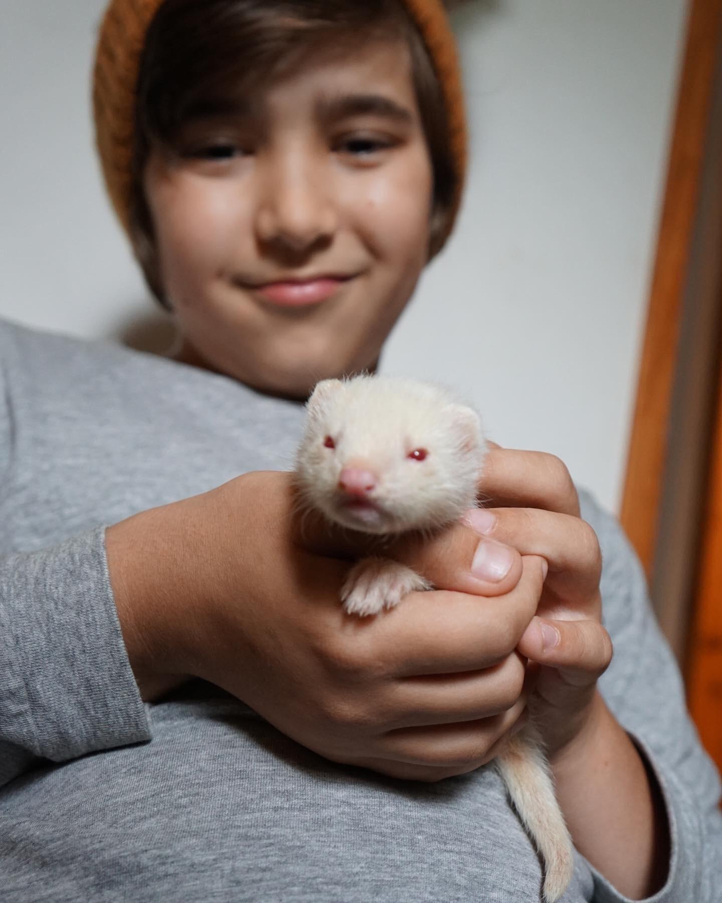 I just got a new albino ferret and his name is Merlin and he is seven