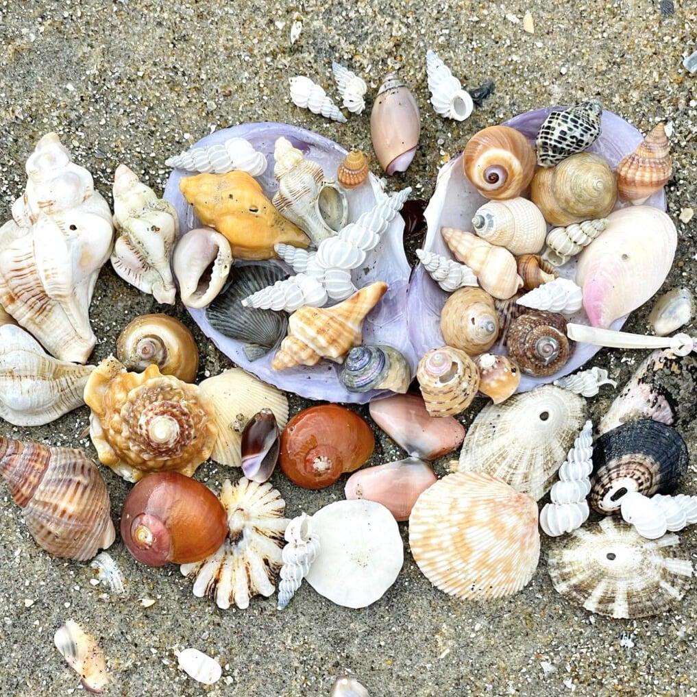 playful_Innocence (u/playful_innocence) - Reddit