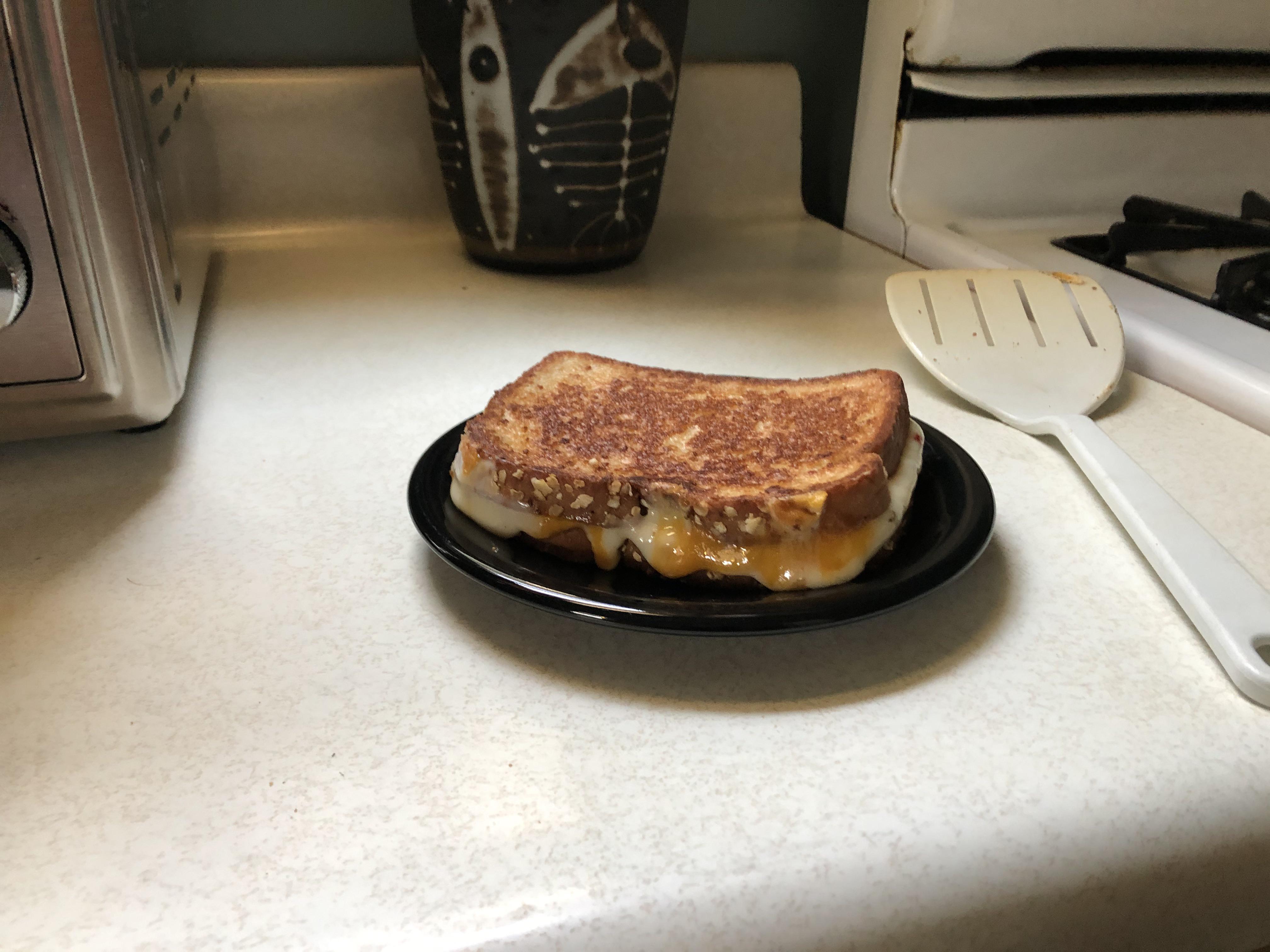 Grilled cheese! Pepper jack and sharp cheddar. Mayo instead of butter. So good. r/grilledcheese