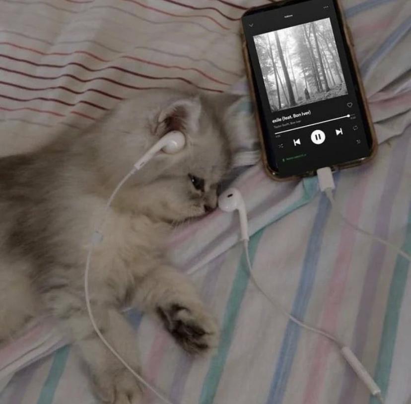 Not exactly hifi listening but cat's have better hearing anyway. r