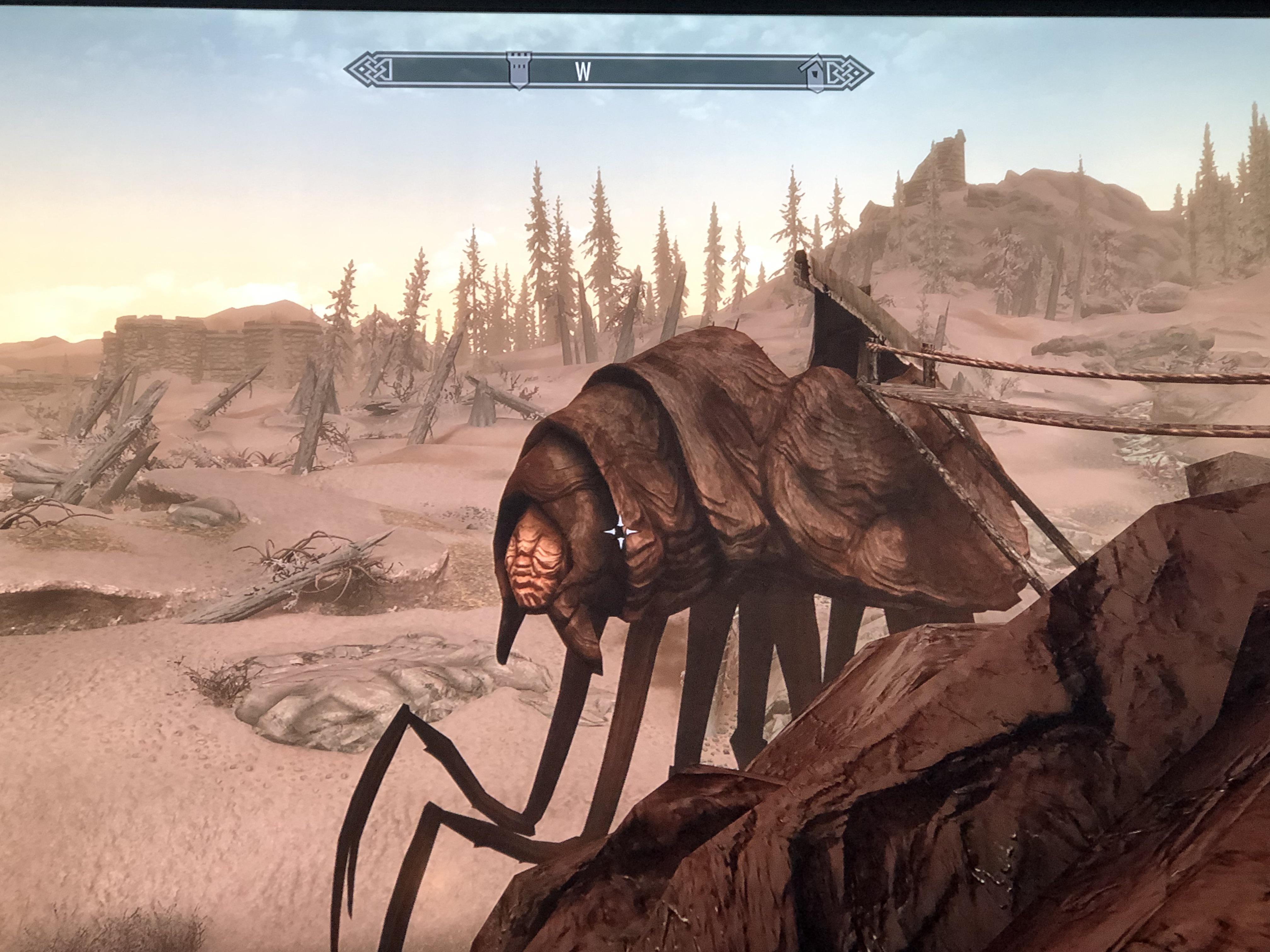 Anyone know what this is or it’s function?? This is my first experience