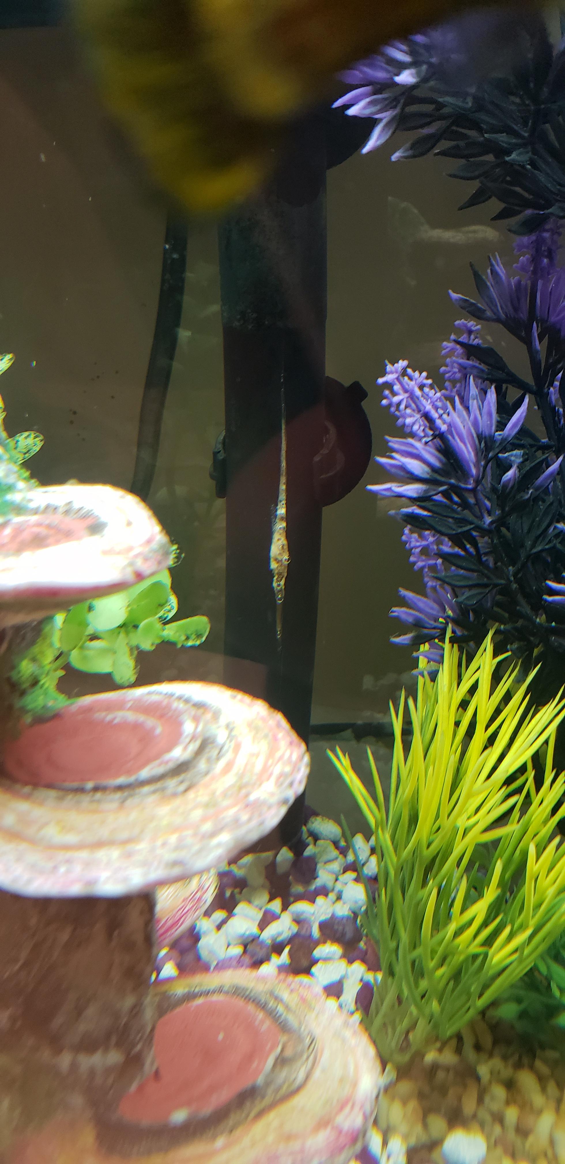 My heater broke over vacation can someone explain what this stuff is