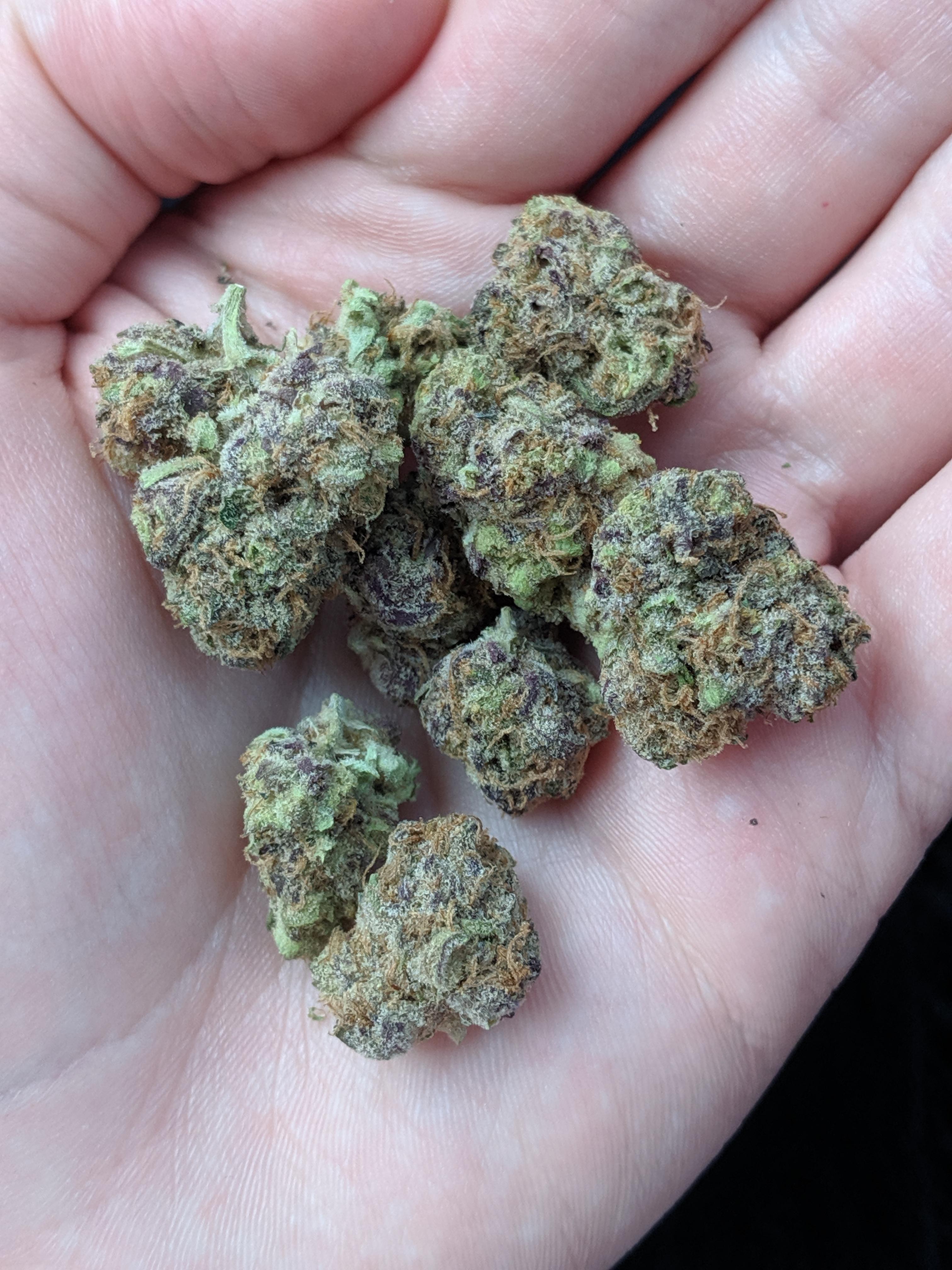 Hidden pastry (25.3 THC) r/trees