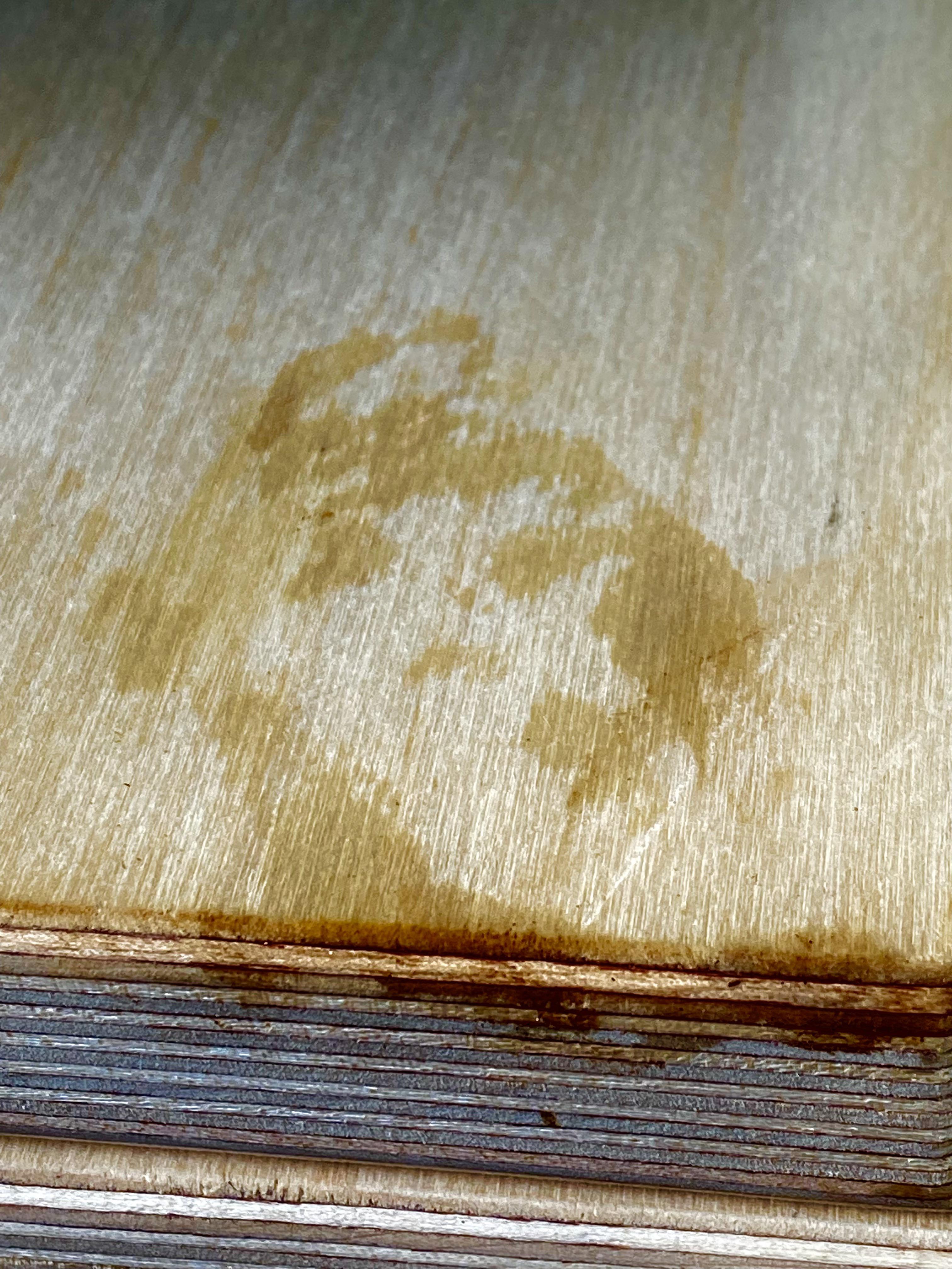 My sweat stain knows I got bad news today r/oddlyterrifying