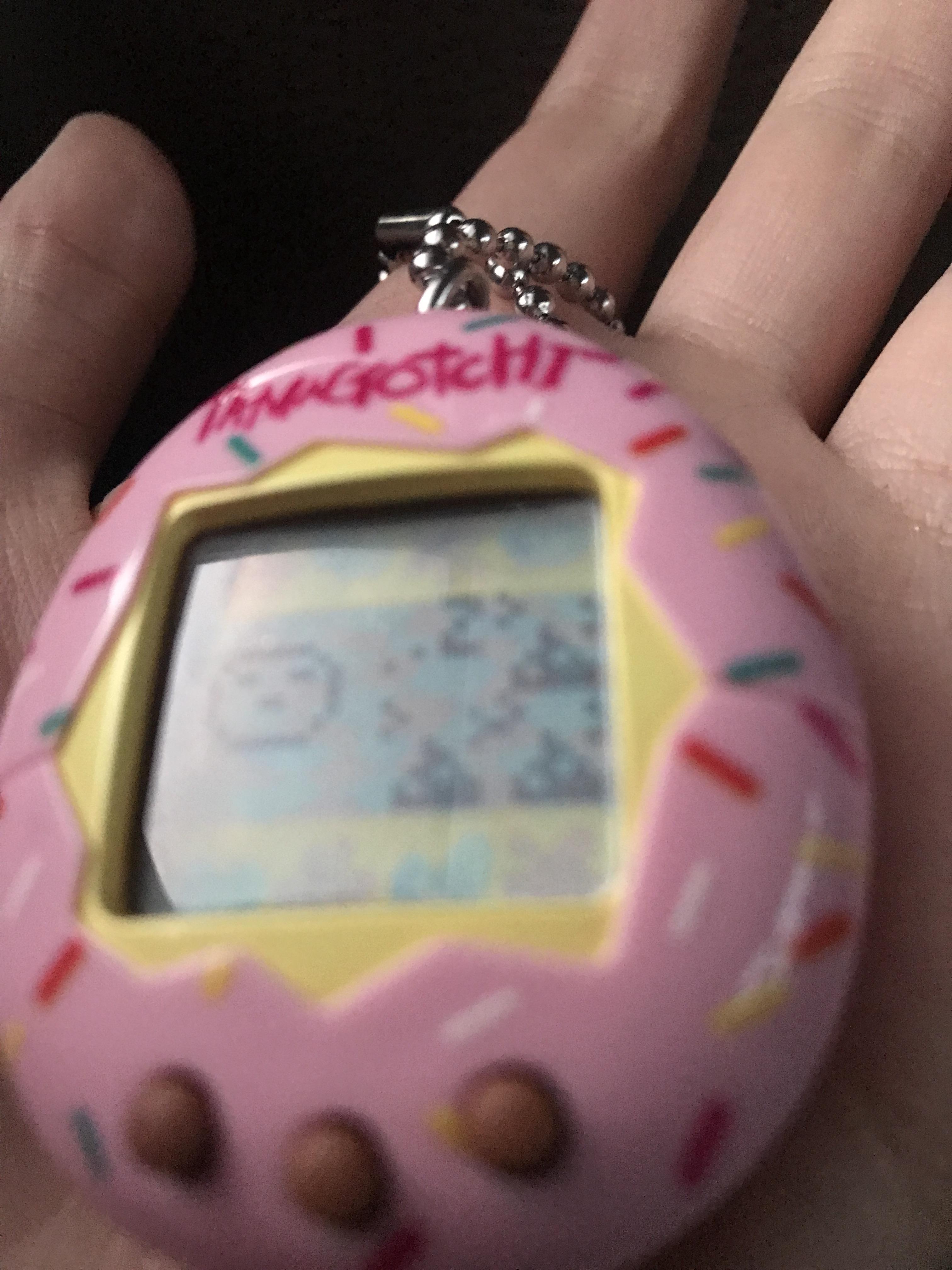 Help! What does this mean and how do I fix it? r/tamagotchi