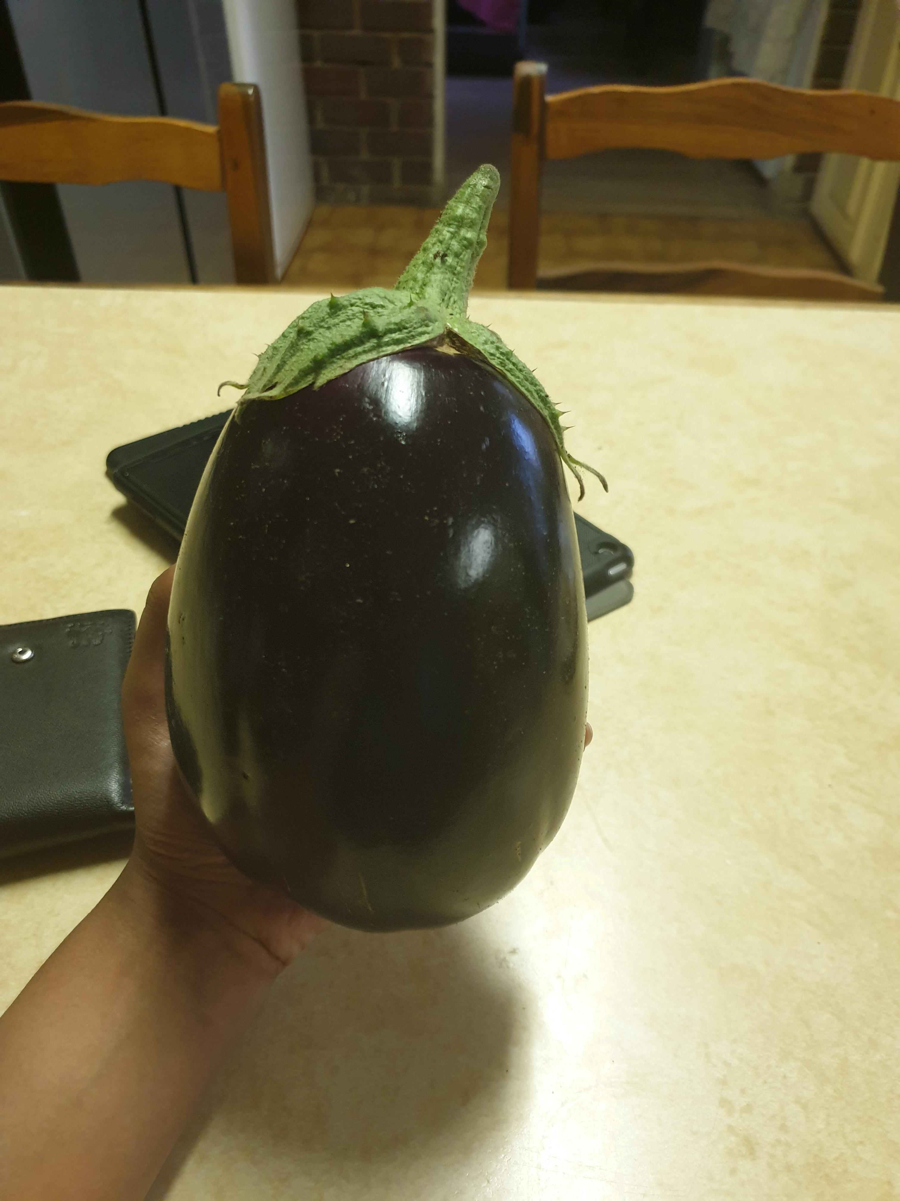 Unit of an eggplant from my dad's garden. r/AbsoluteUnits