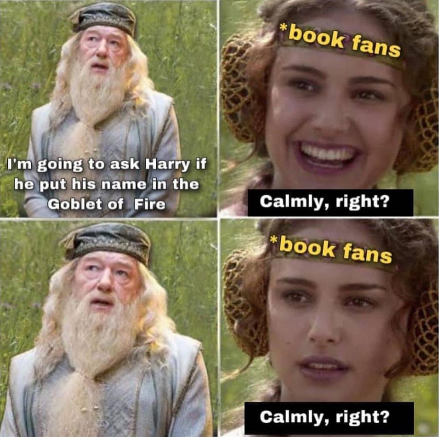 Calmly, right? r/harrypotter