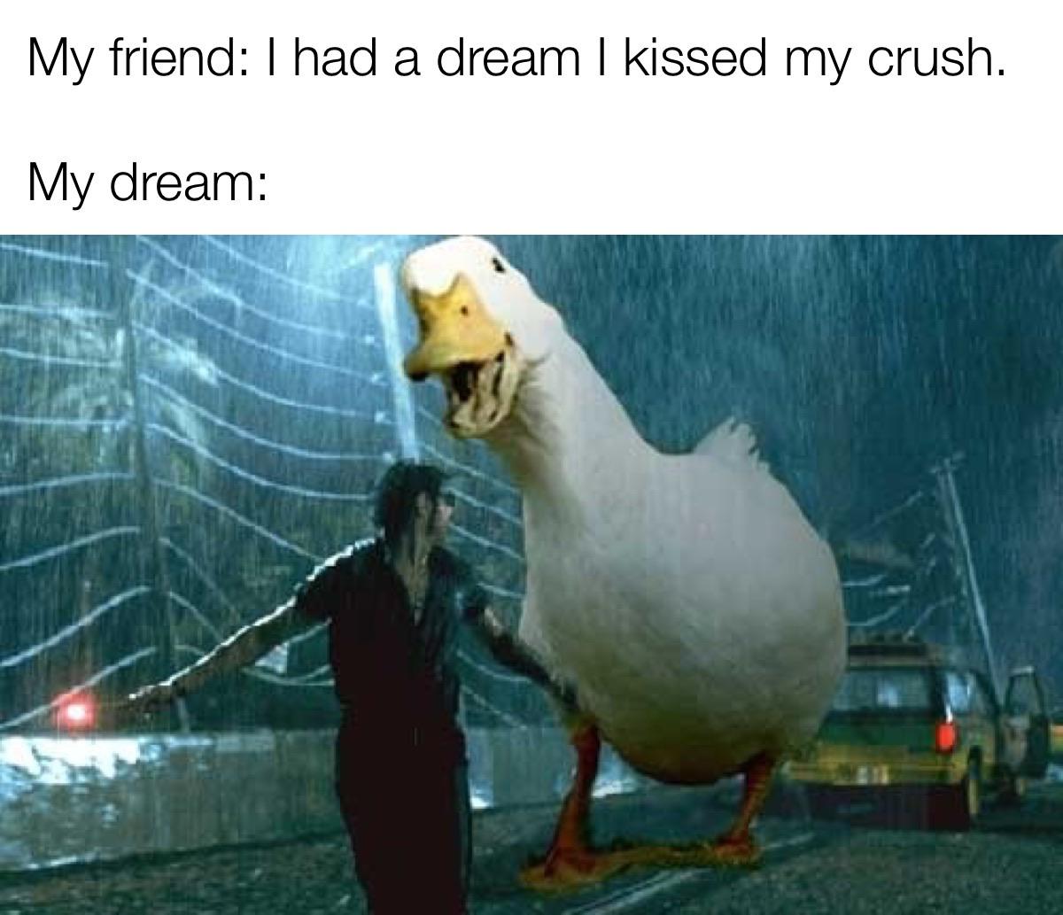 Oh duck memes