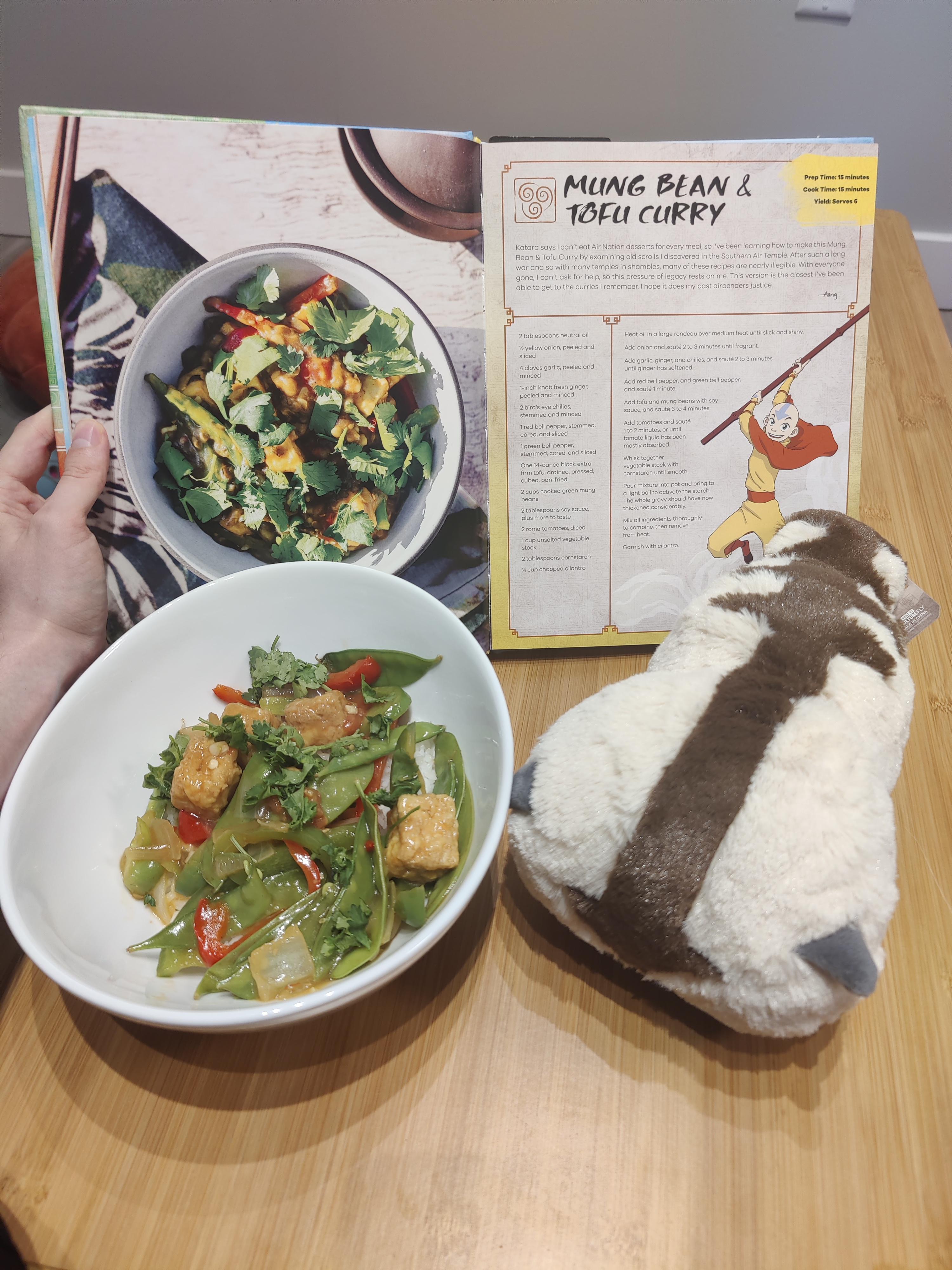 I made the Mung Bean & Tofu Curry from the Avatar the Last Airbender