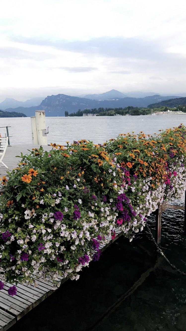 August in Lucerne, Switzerland. r/pics