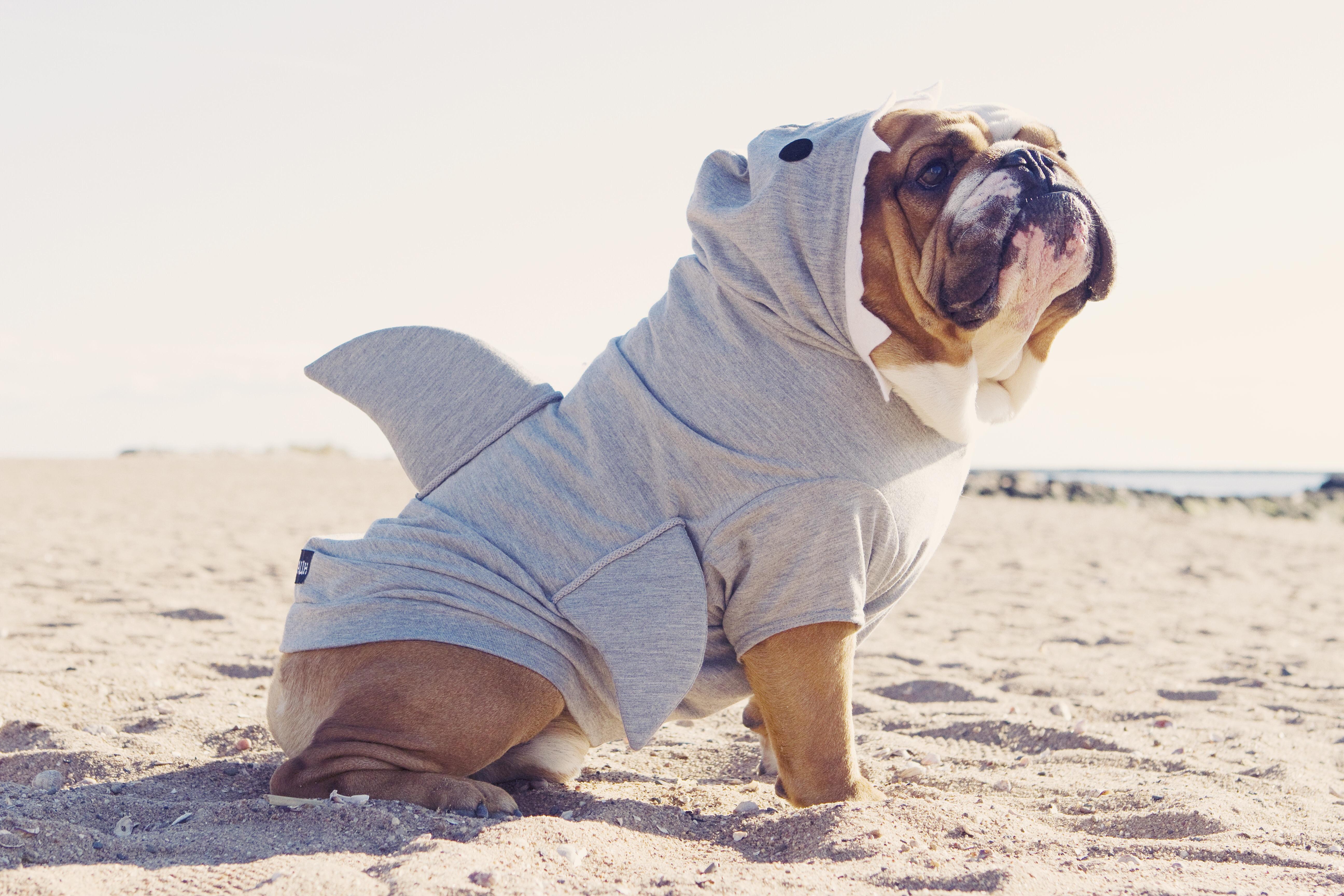 Shark Week Every Week r/Bulldogs