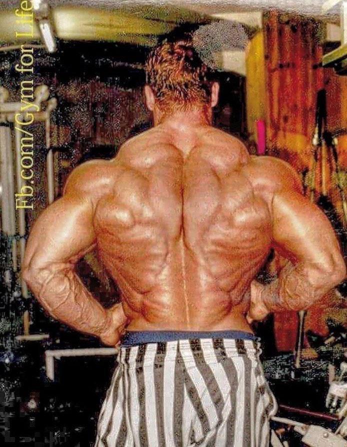 Yujiro Hanma Back In Real Life Baki yujiro_hanma yujiro hanma, yujiro hanma back, yujiro