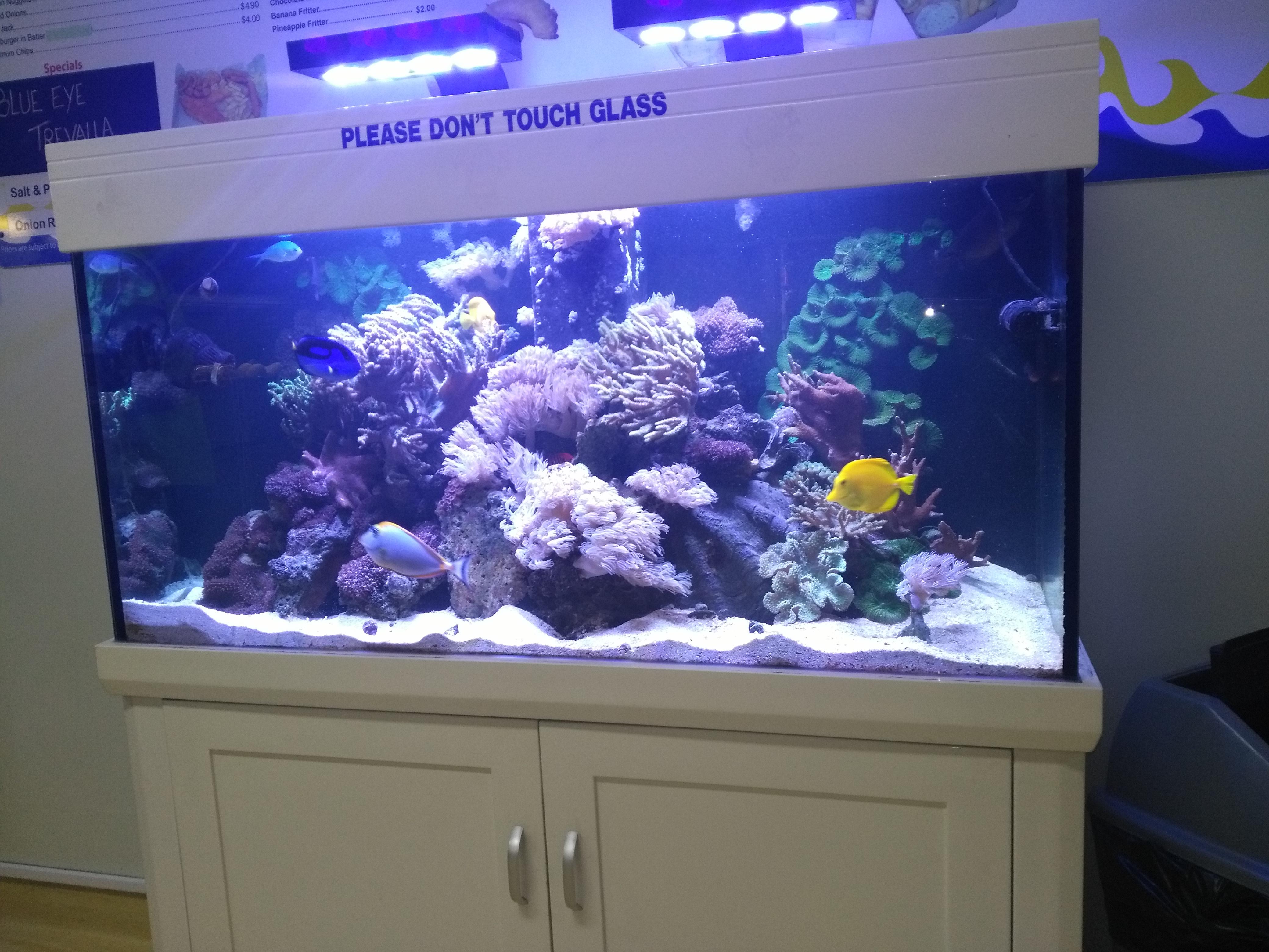 Where am I ? Clue best fish and chip shop in Geelong! r/Geelong