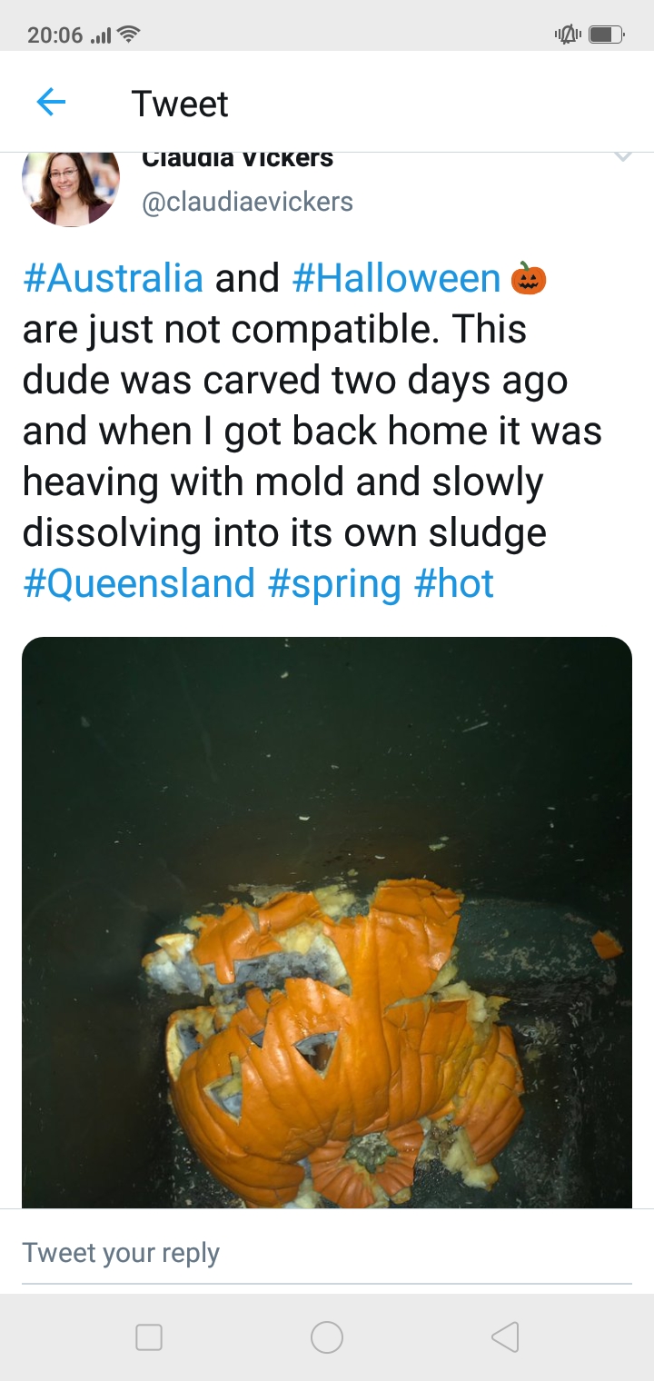 There was an attempt to celebrate Halloween in Australia... r/Australia_