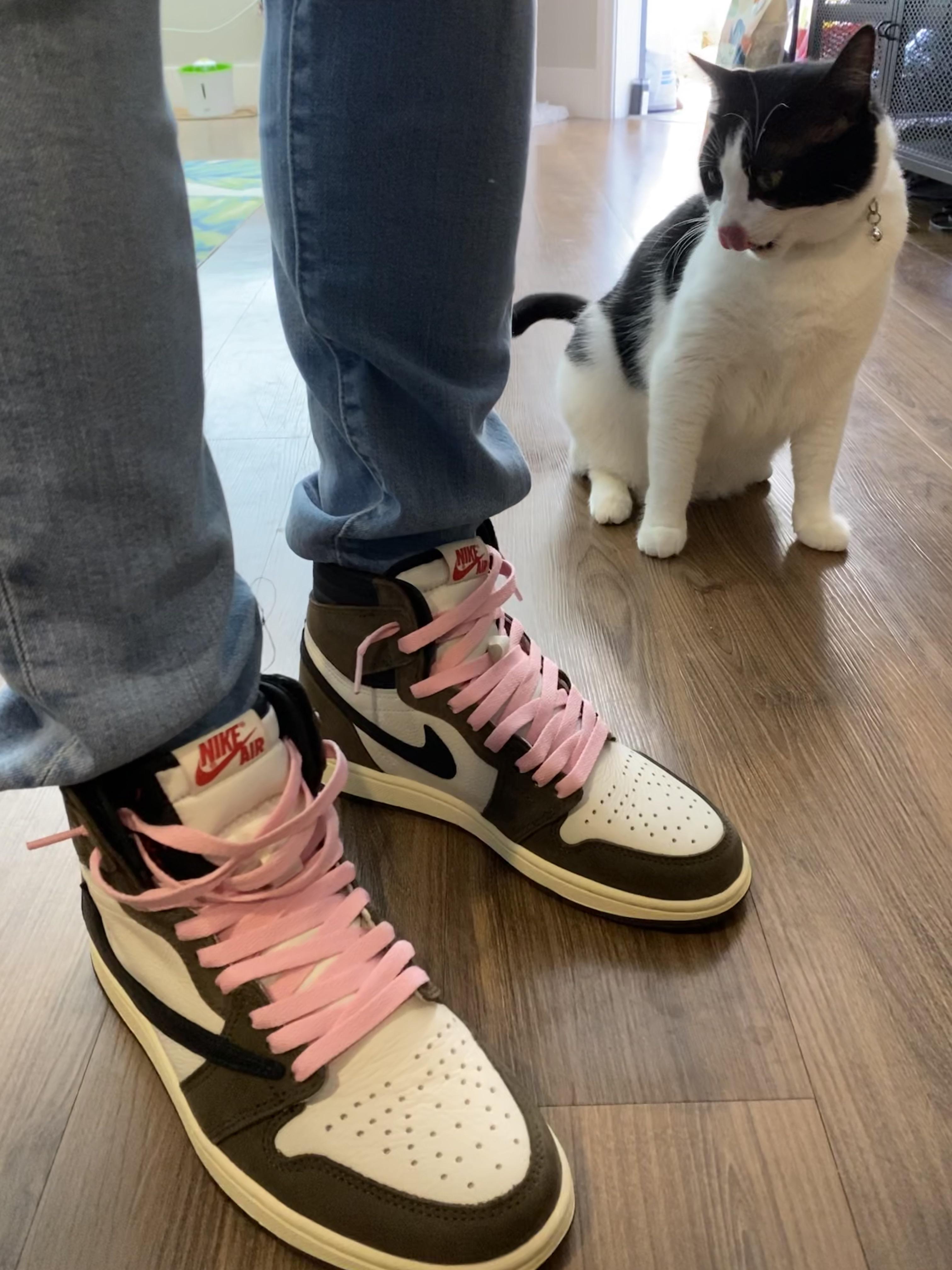 First Reps ever UACat approved 😼 (Travis Scott Air Jordan 1 UABAT) r