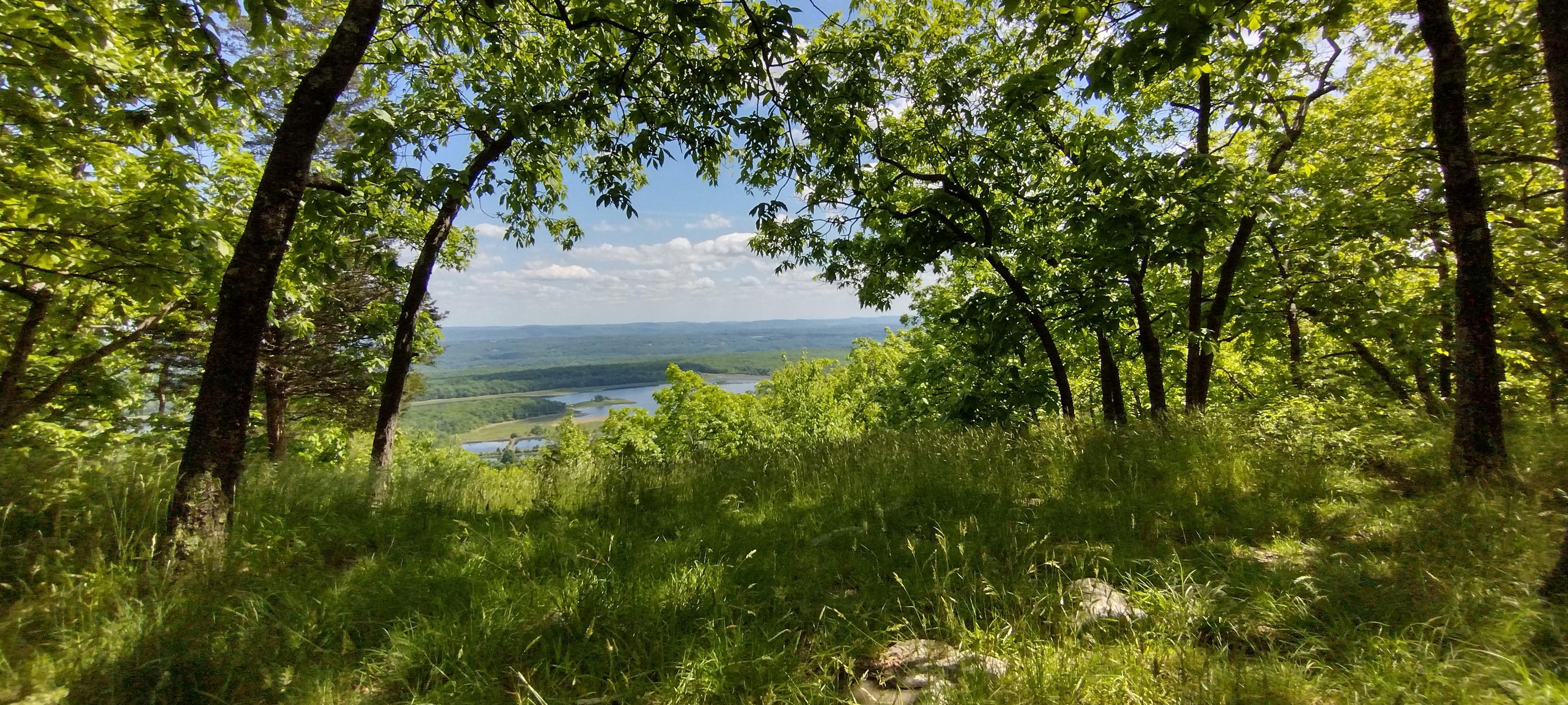 Raccoon Ridge, Blairstown, NJ. r/newjersey
