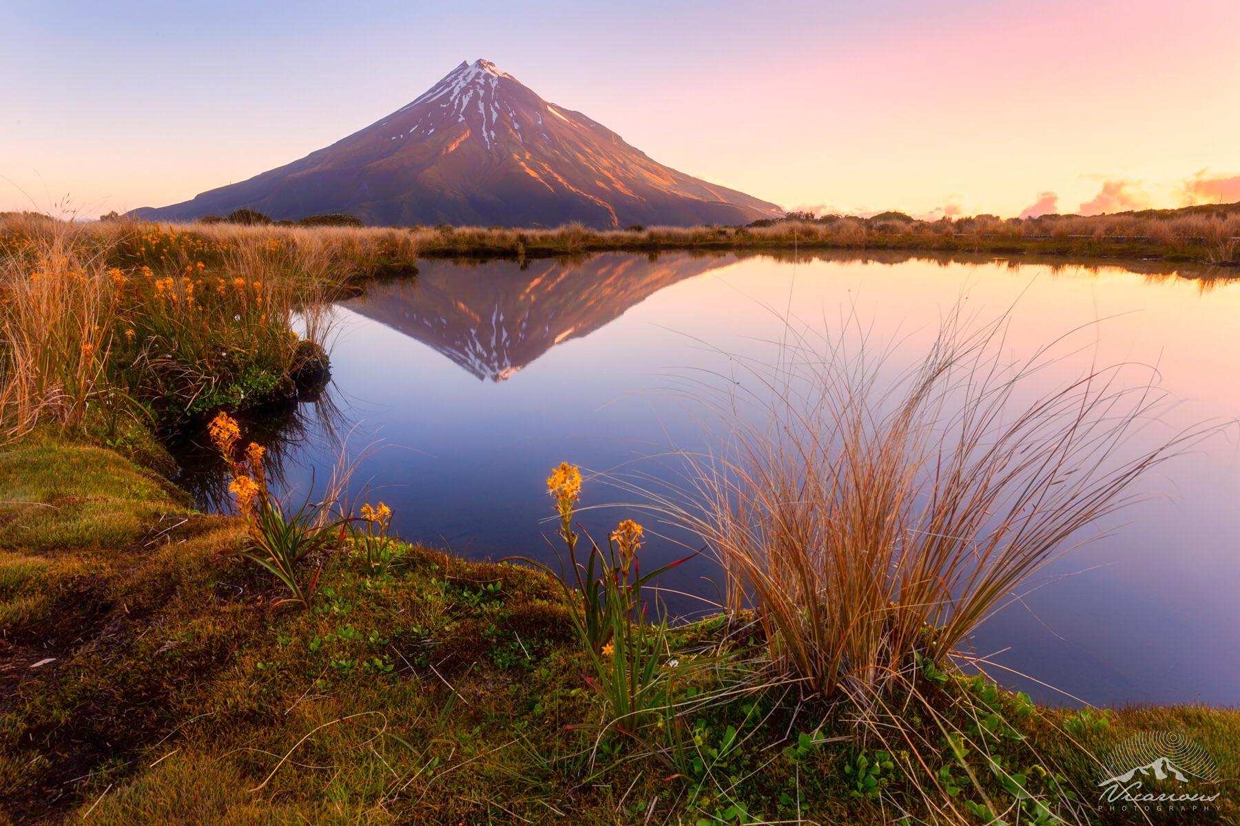An epic reflection of Mount Egmont/Taranaki in a small alpine Tarn. [OC