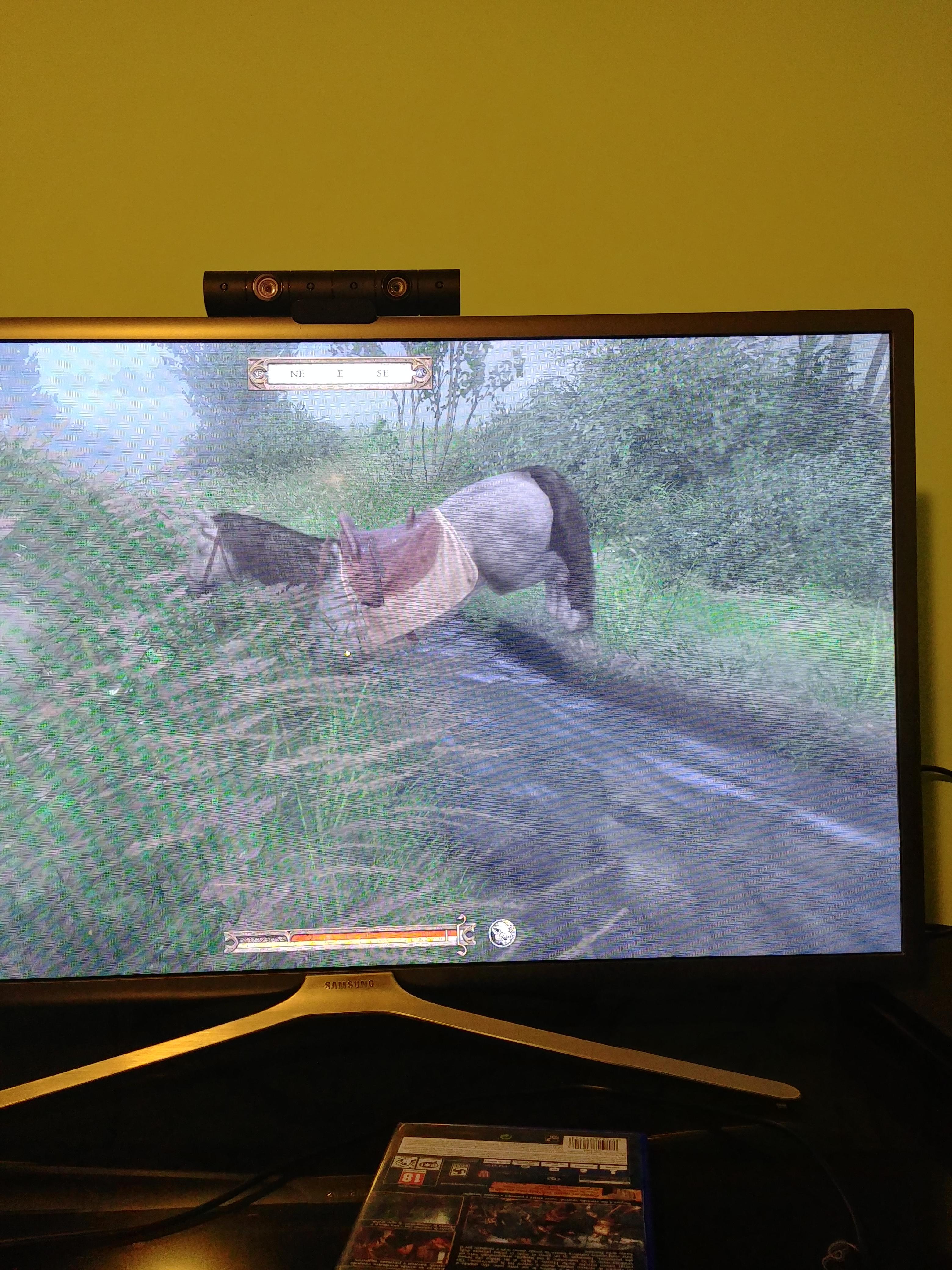 It ls well known that horses are scared of water