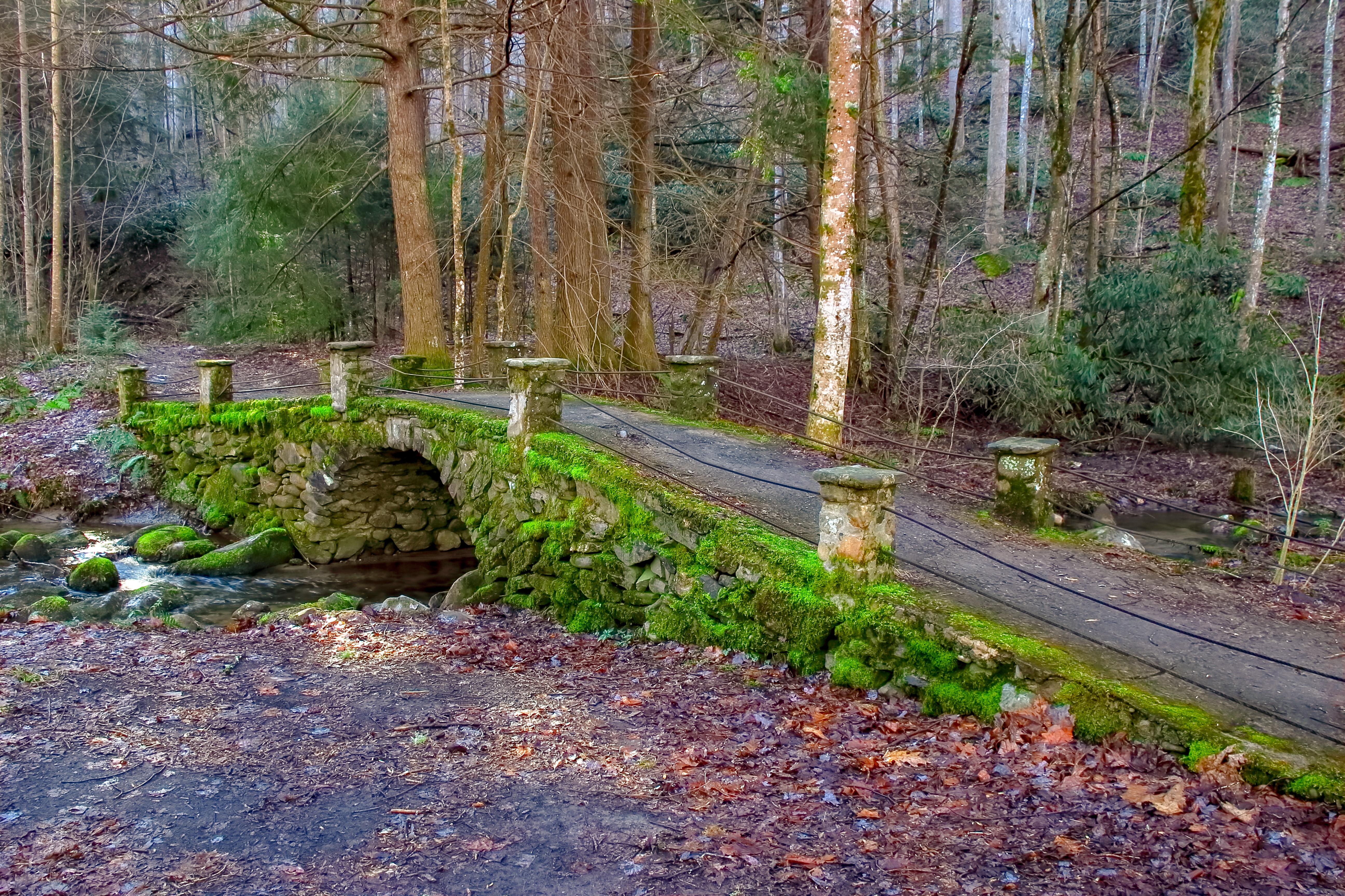 ITAP of the troll bridge in the Smoky Mountains r/itookapicture