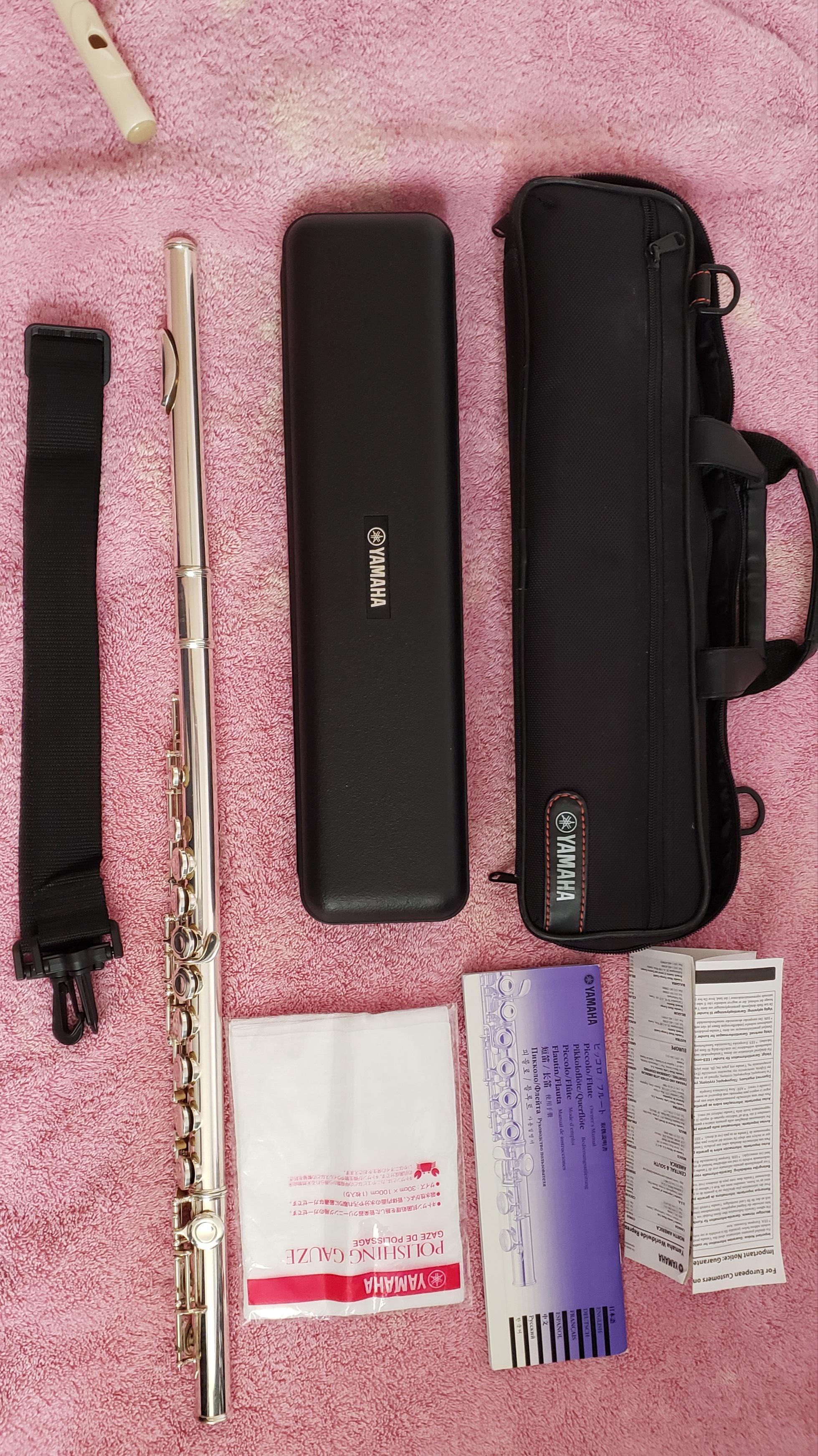 Electronic flute Flute