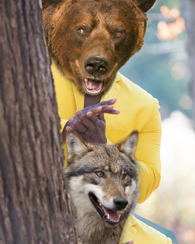 When my horse throws me off in the middle of the forest