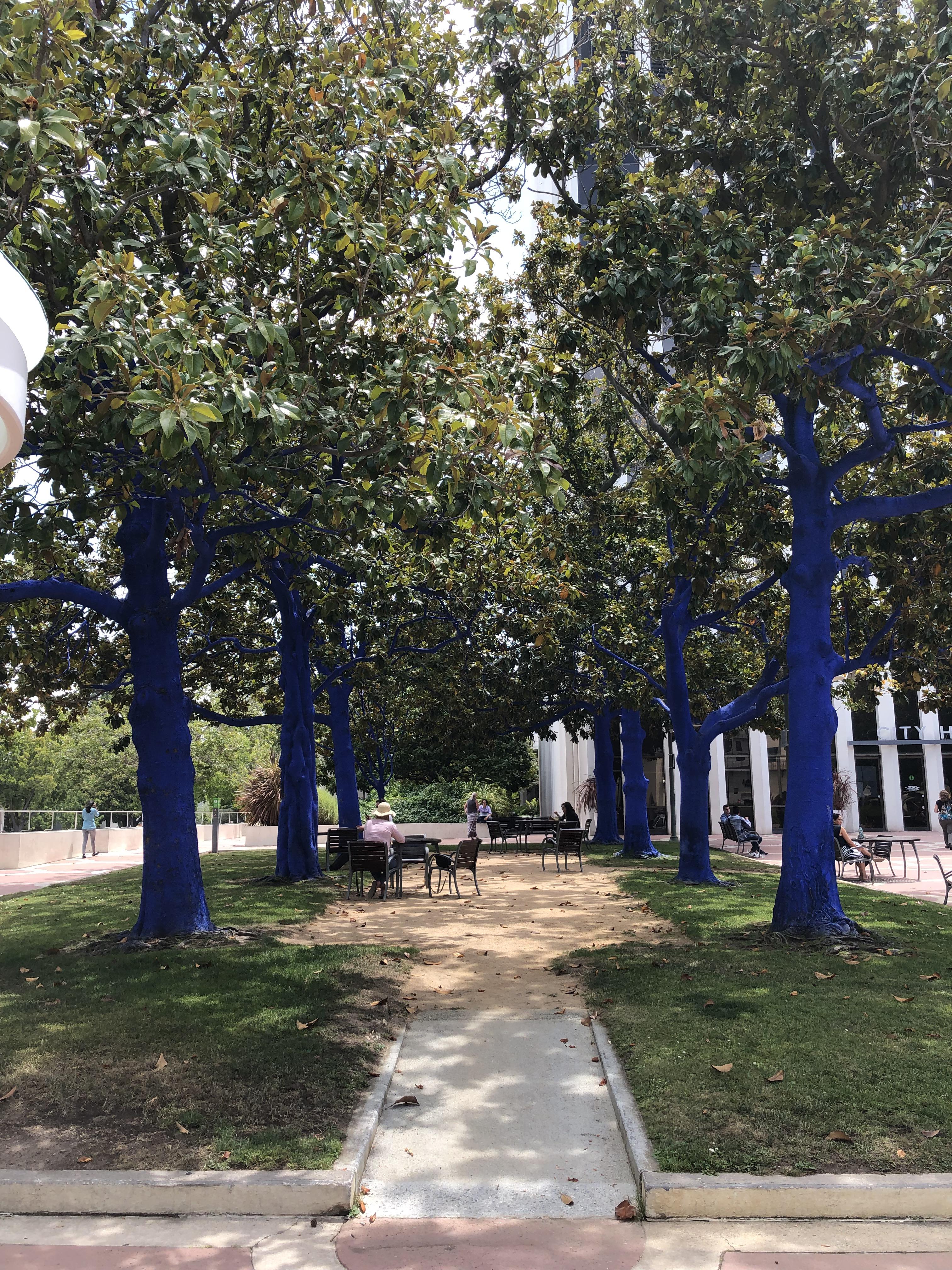 Went to Palo Alto’s City Hall, and only noticed the blue painted trees