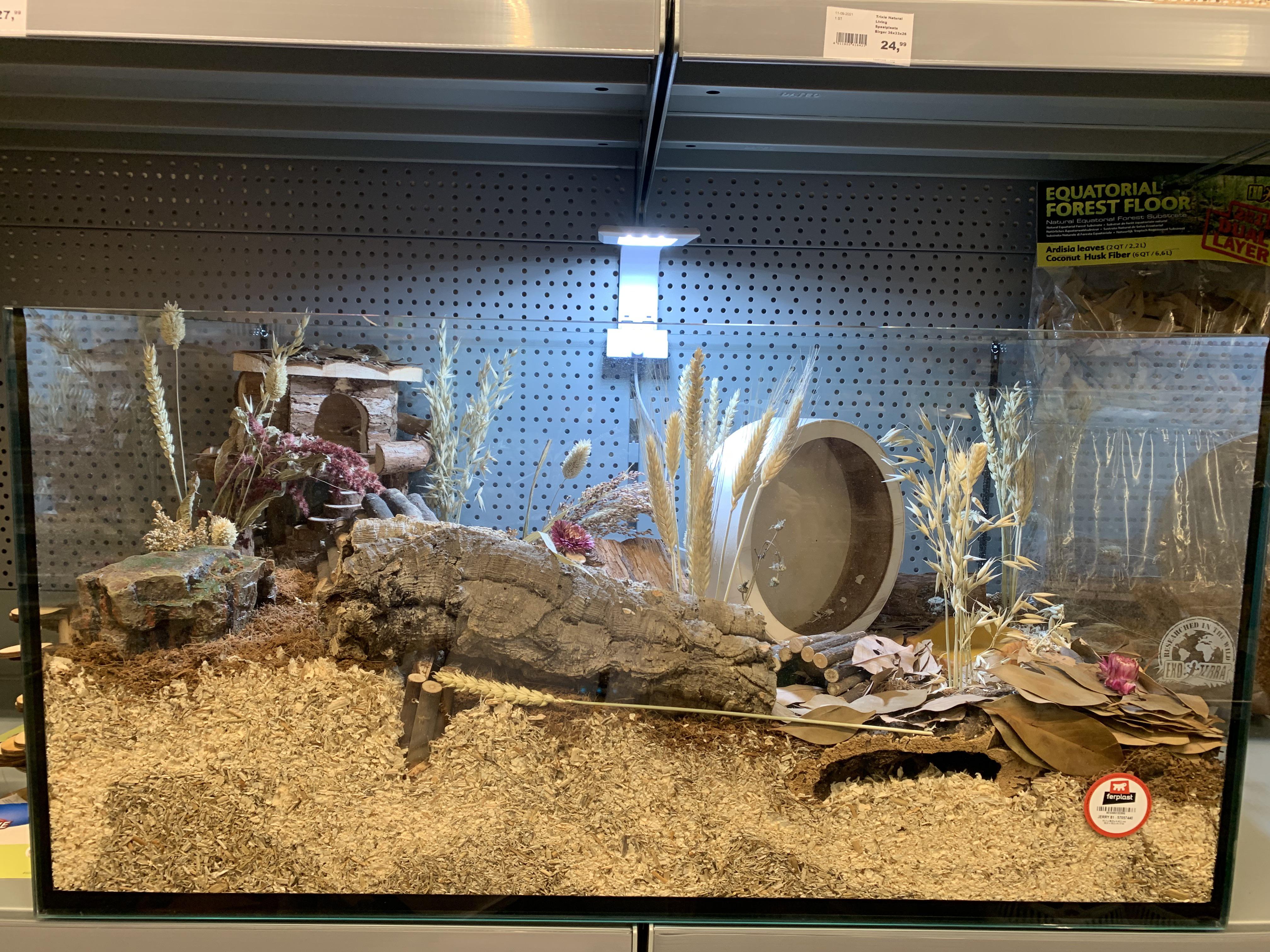 My new local pet store has this as an example of a decent hamster cage