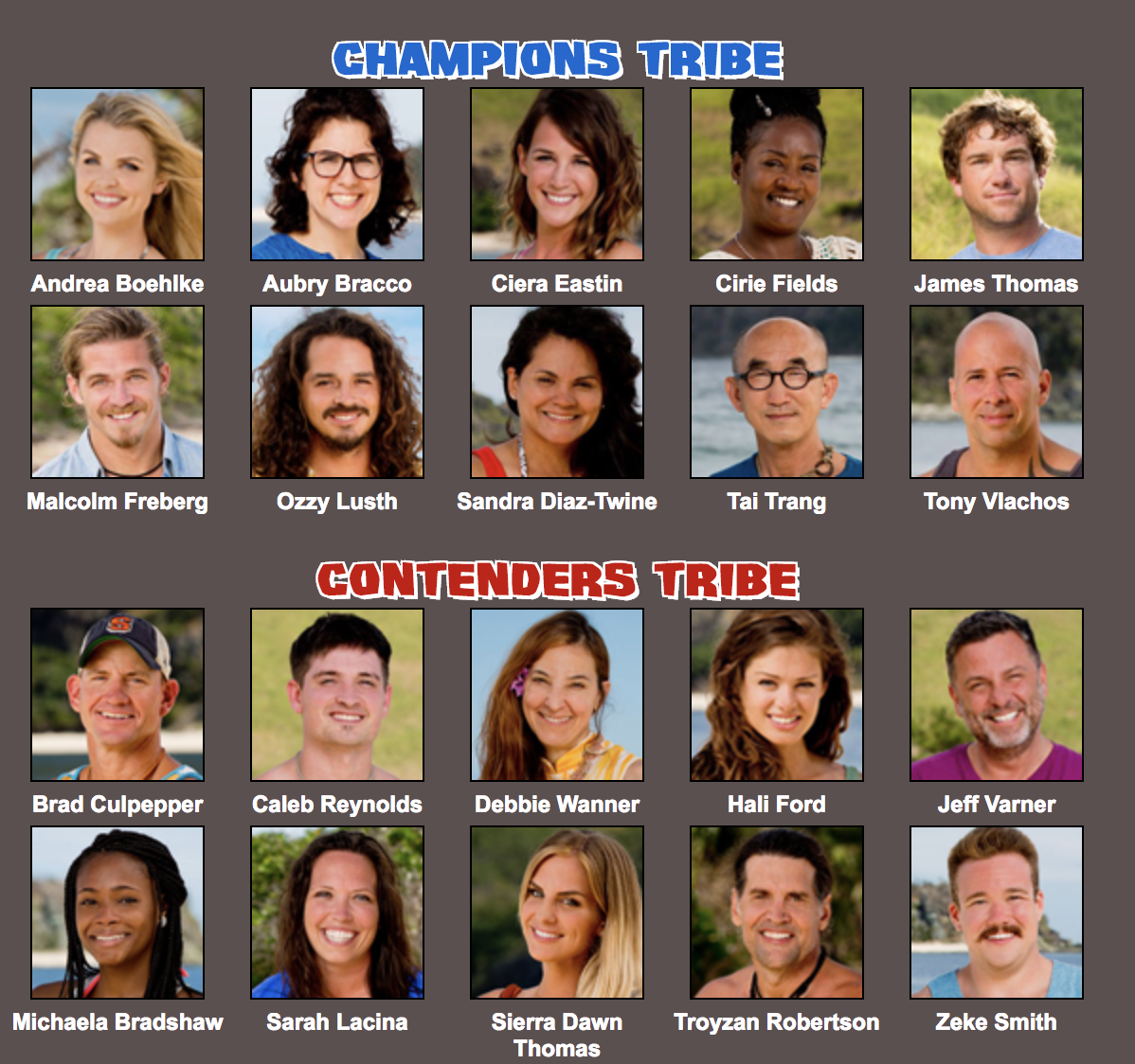 Survivor Game Changers in the theme of Champions vs Contenders survivor