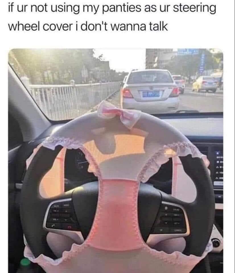 I need a steering wheel cover. Can you please help me 👉👈 r/NSFWMemes