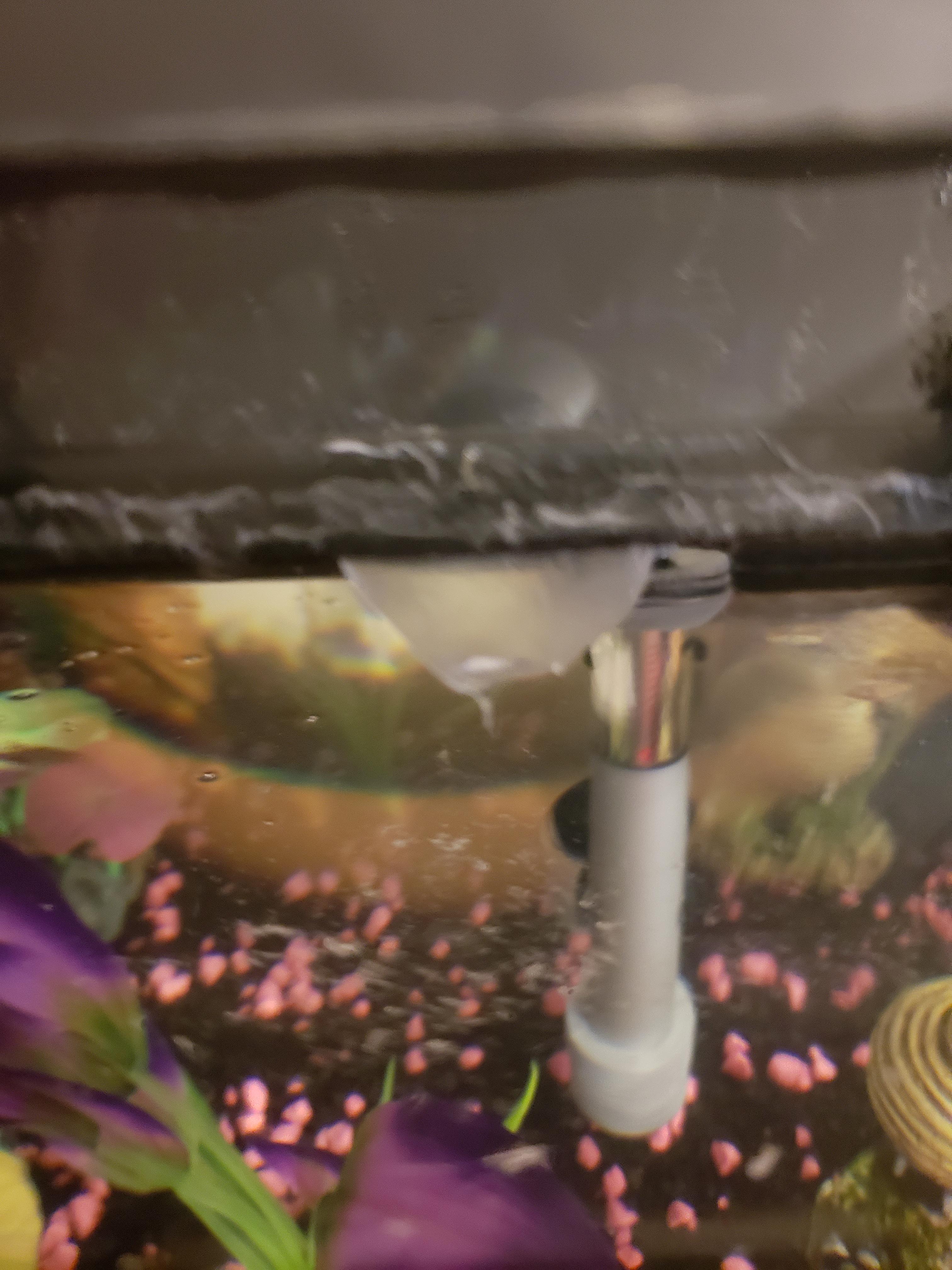 sagrariodesigner Why Is My Water Not Getting Hot
