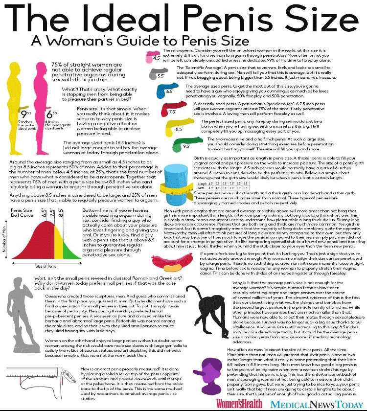 A Woman's Guide to Penis Size r/badwomensanatomy