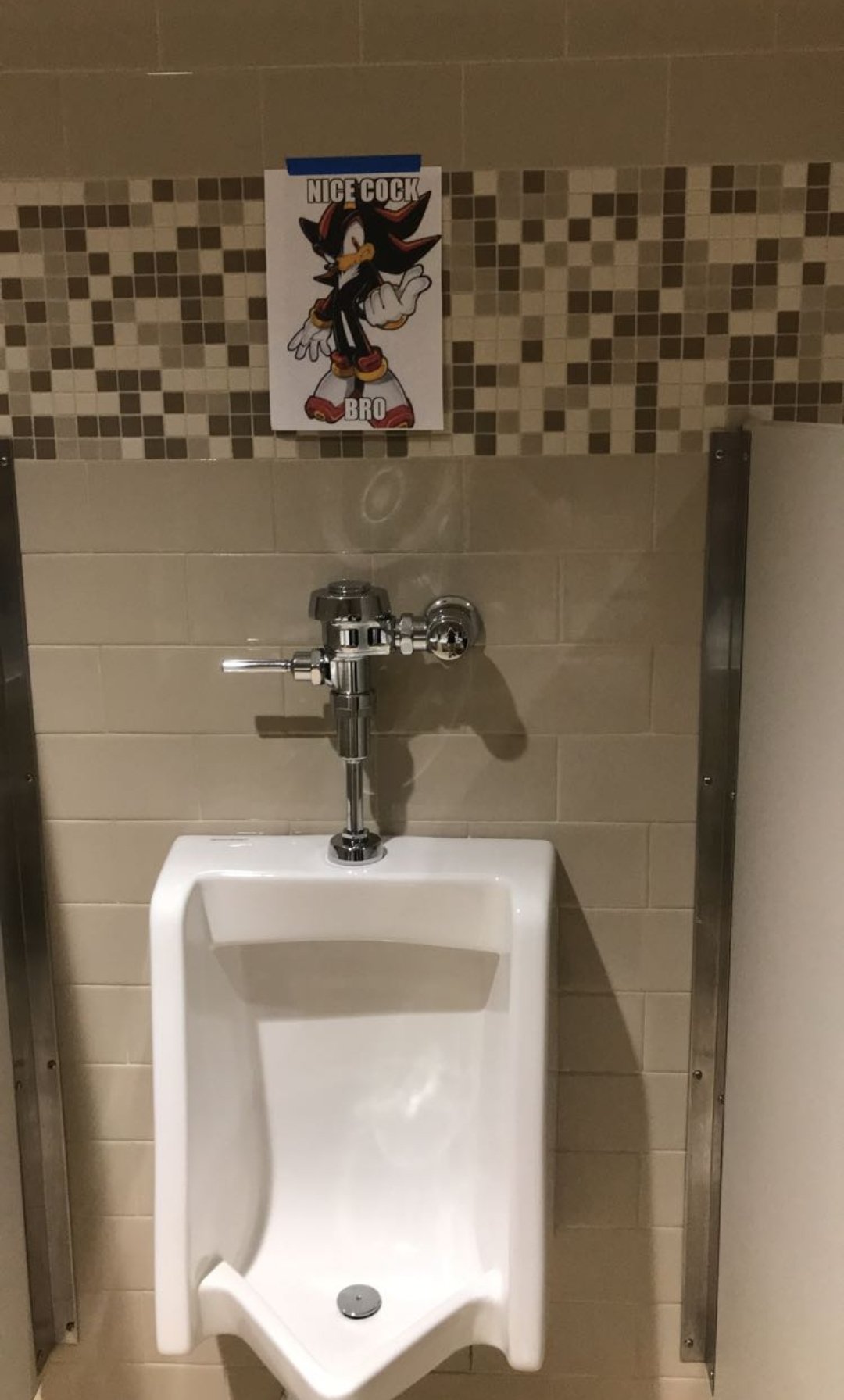 The bathroom wall is the original reddit r/all_meme