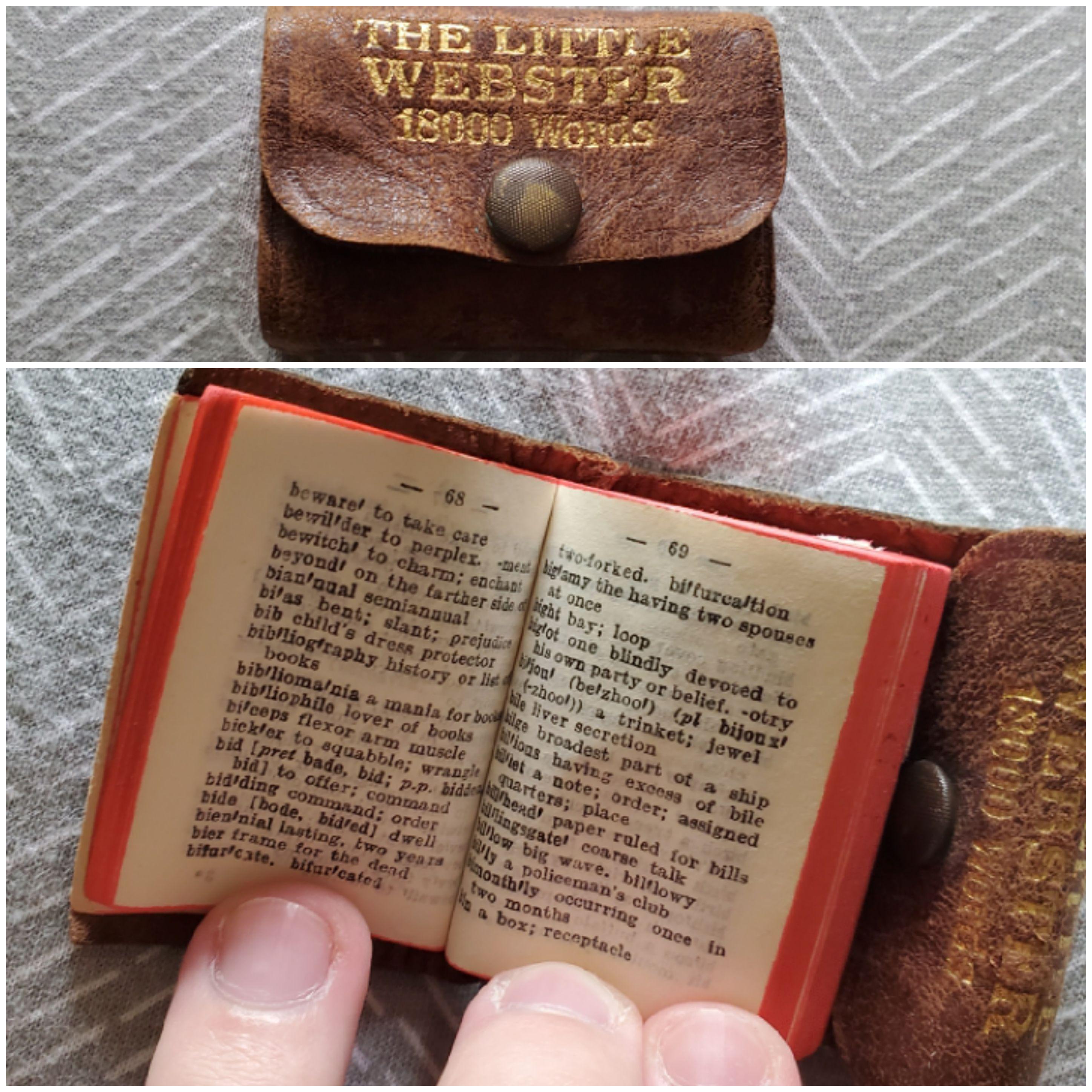 I own a pocket sized dictionary the 1900s r/mildlyinteresting