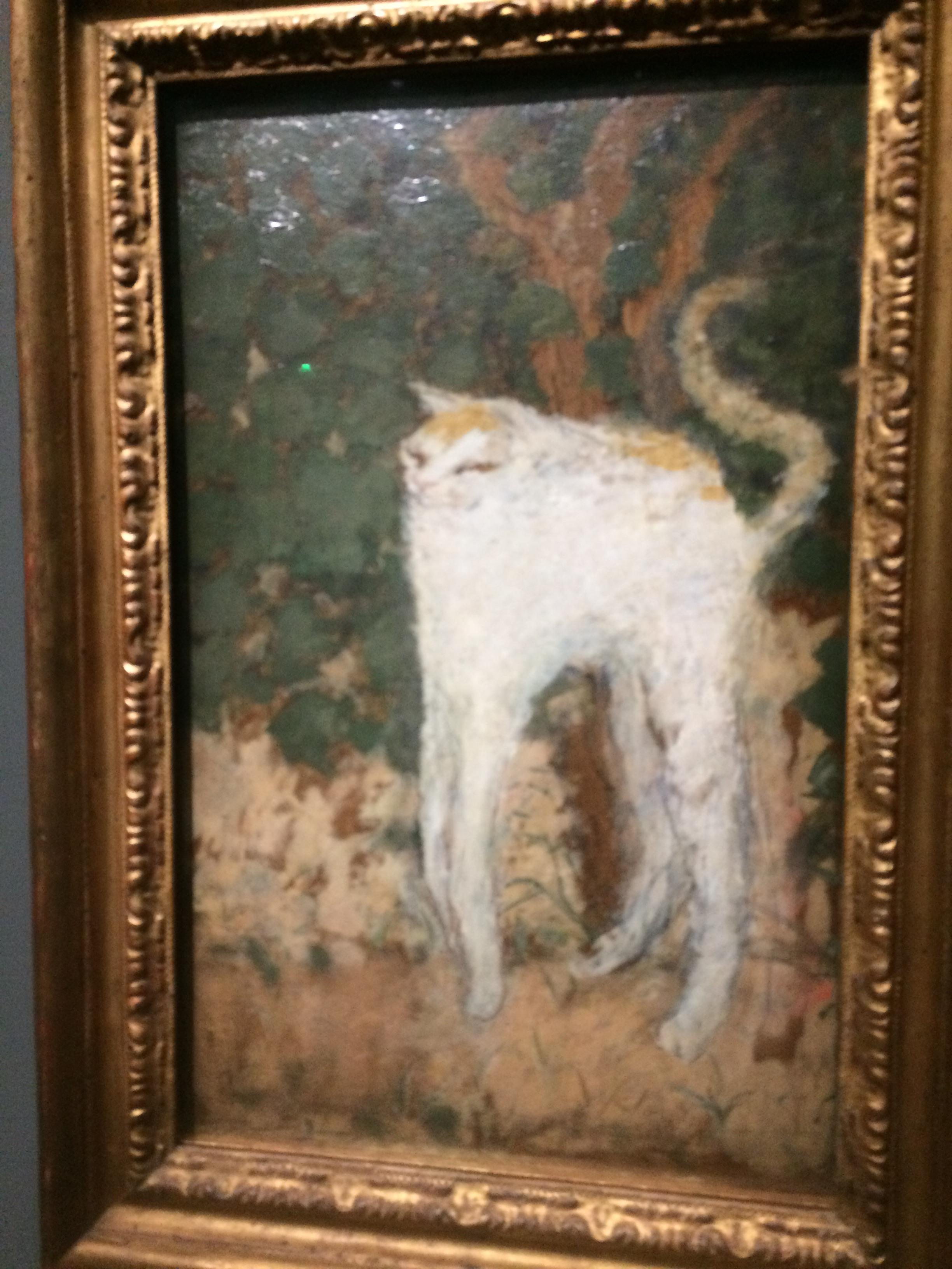 Lanky cat in Paris art museum r/cats