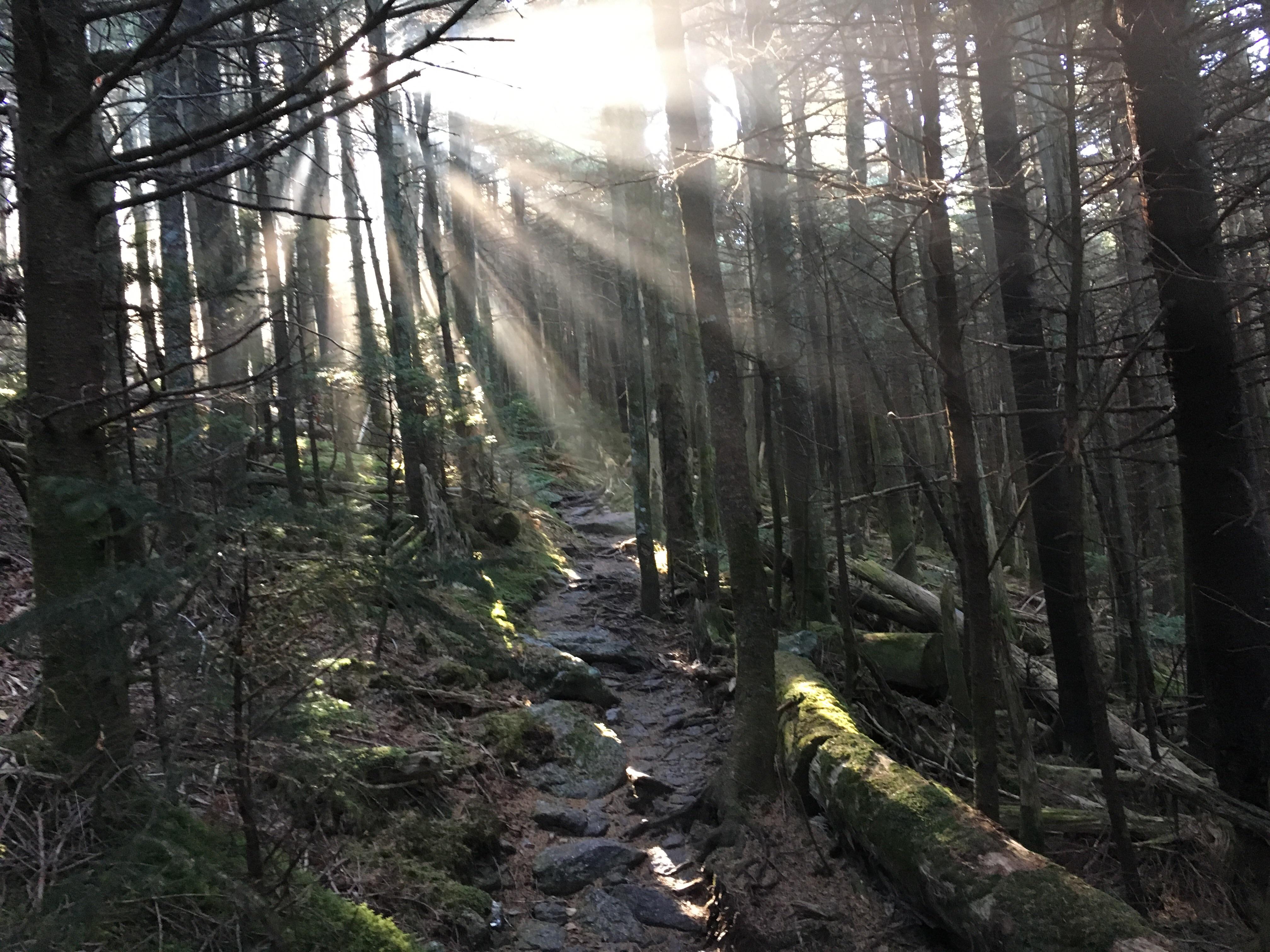 The Black Mountain Crest Trail in North Carolina. Two day through hike. r/CampingandHiking