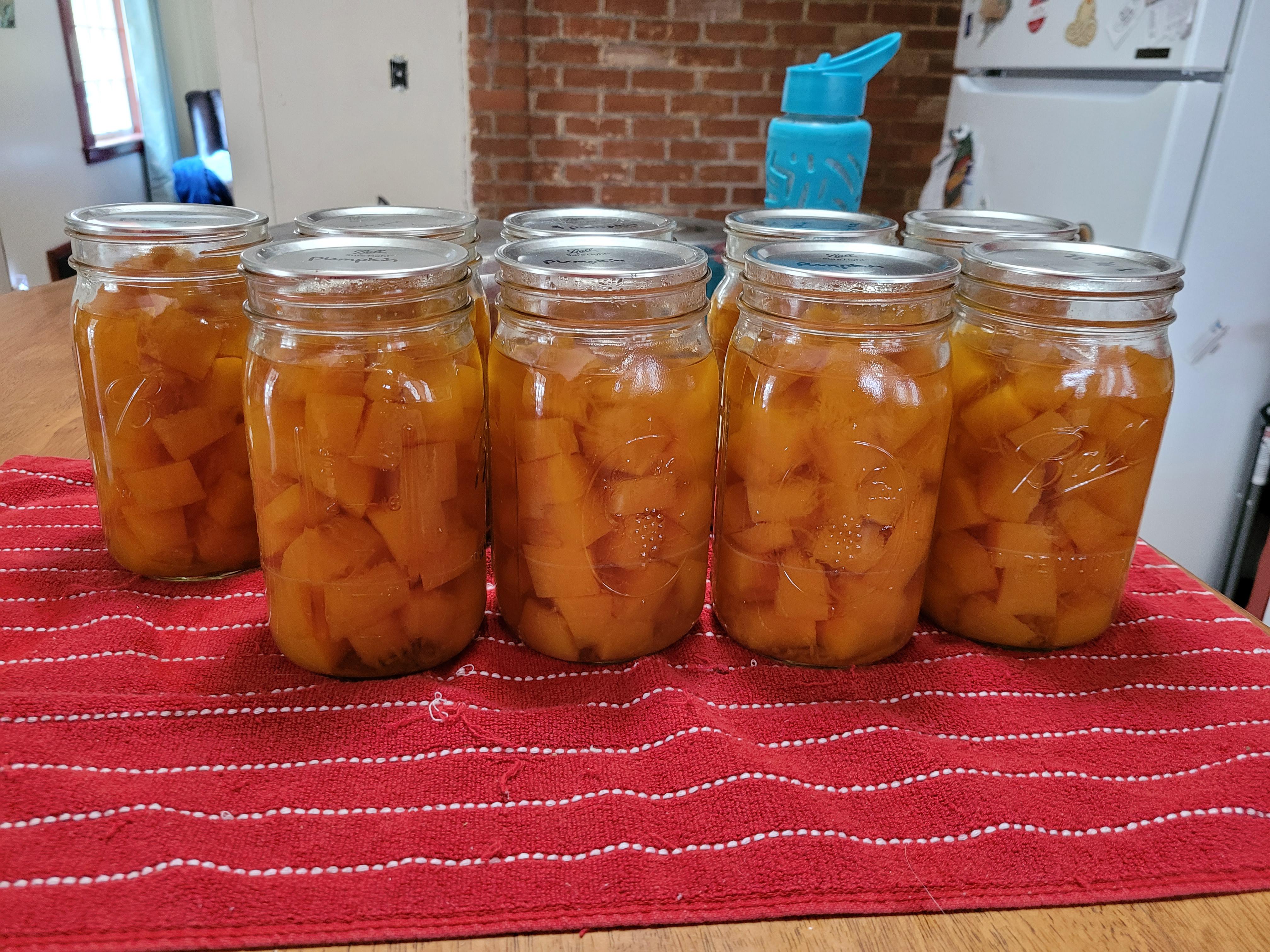 Canned 9 quarts of pumpkin yesterday from the last two pumpkins