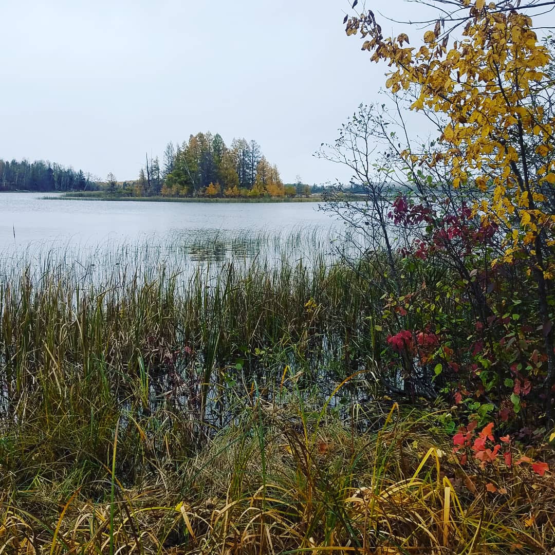 Before the Snow on Baby Lake Hackensack. MN 10/12/19 r/minnesota