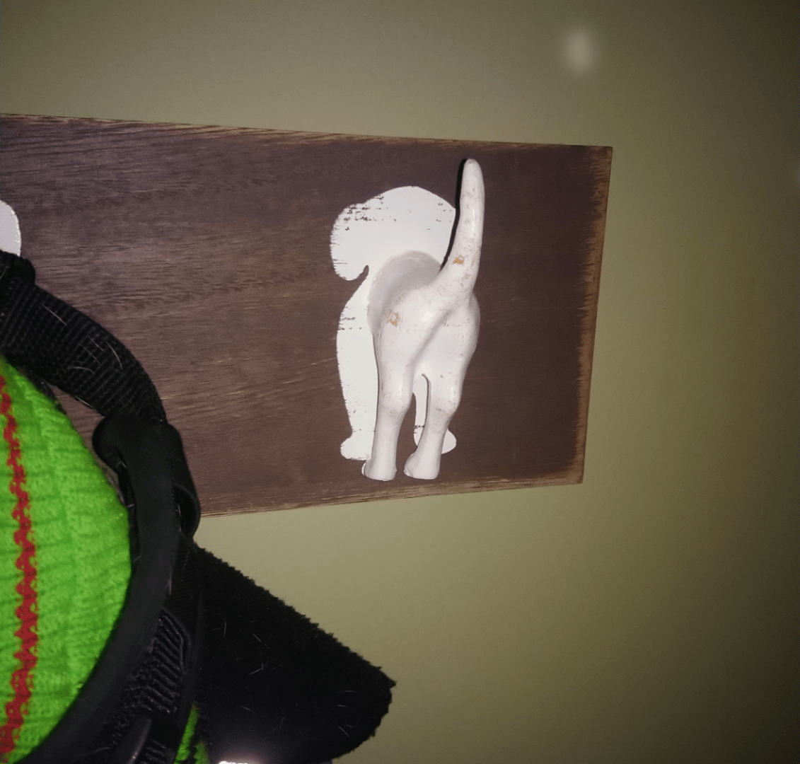 Dogbutt coat hooks at a client's house. r/mildlyinteresting