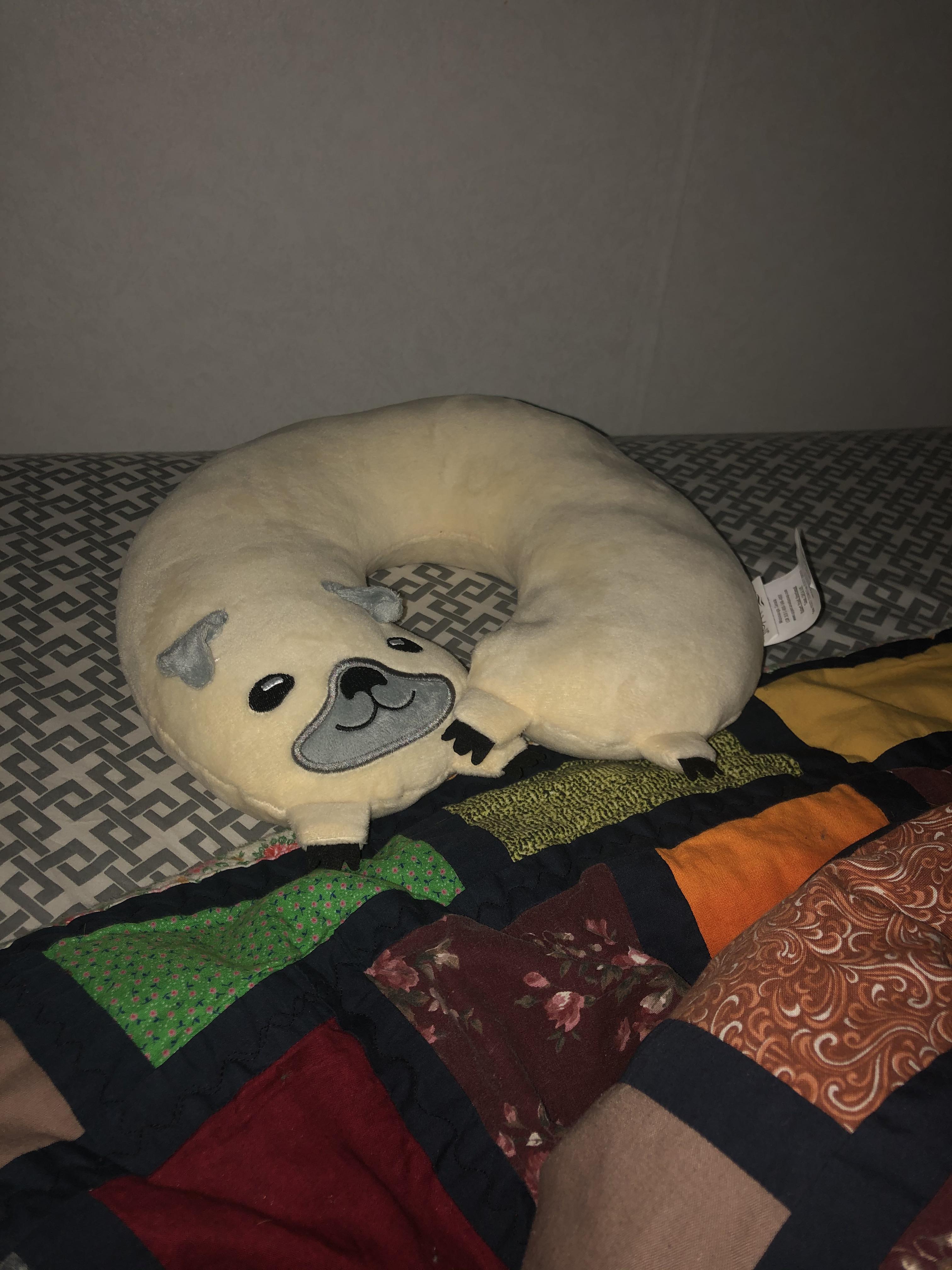 Dog neck pillow r/mildlyinteresting