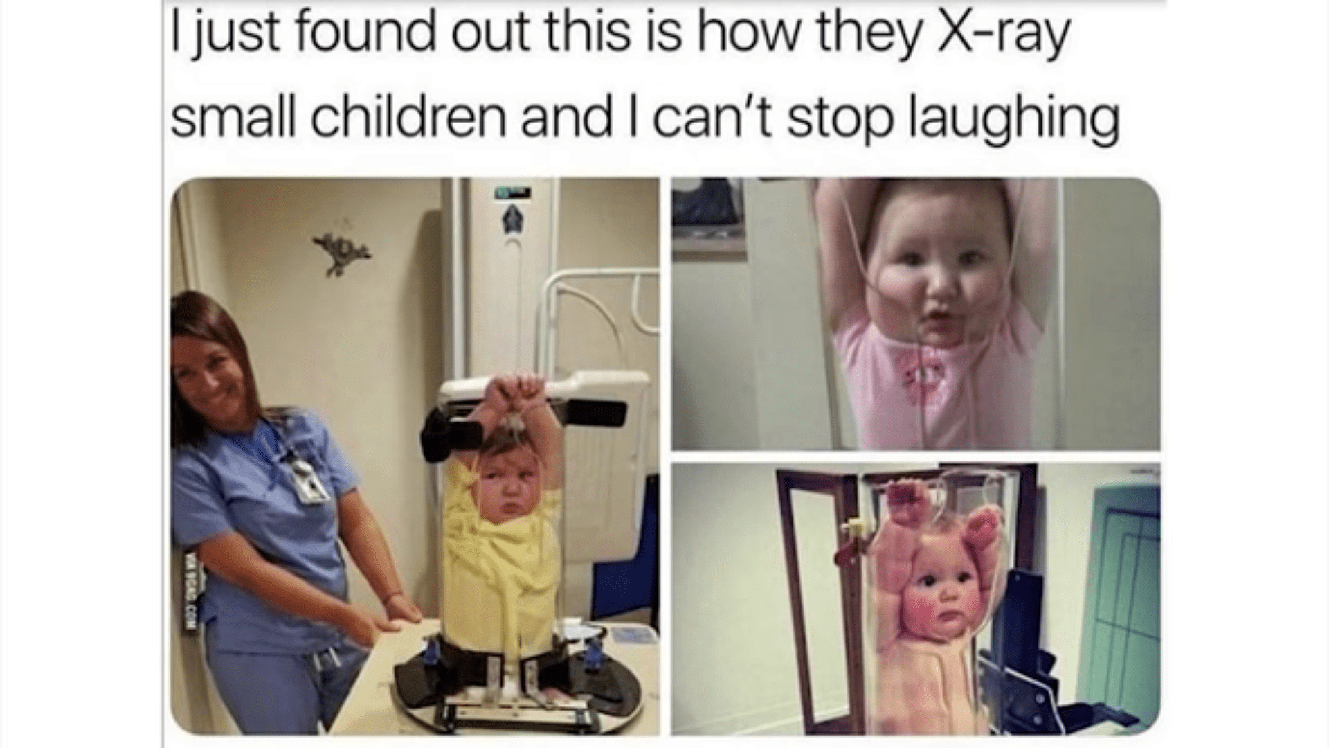 Will it blend?!? r/memes