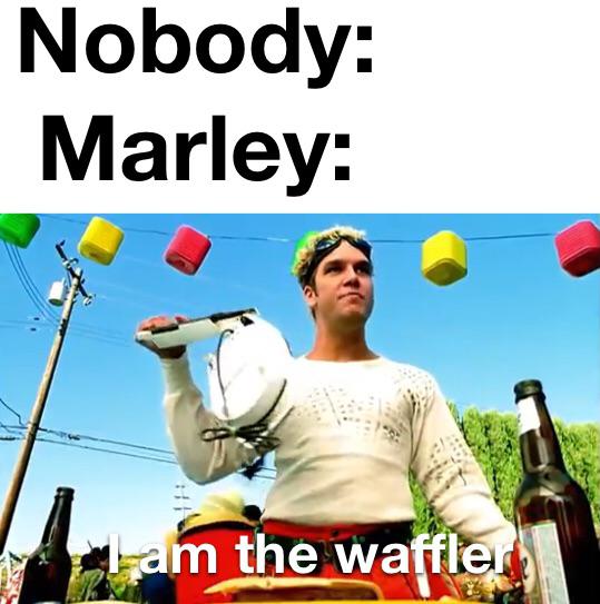 Bit of a waffler he is r/MeatyMarley