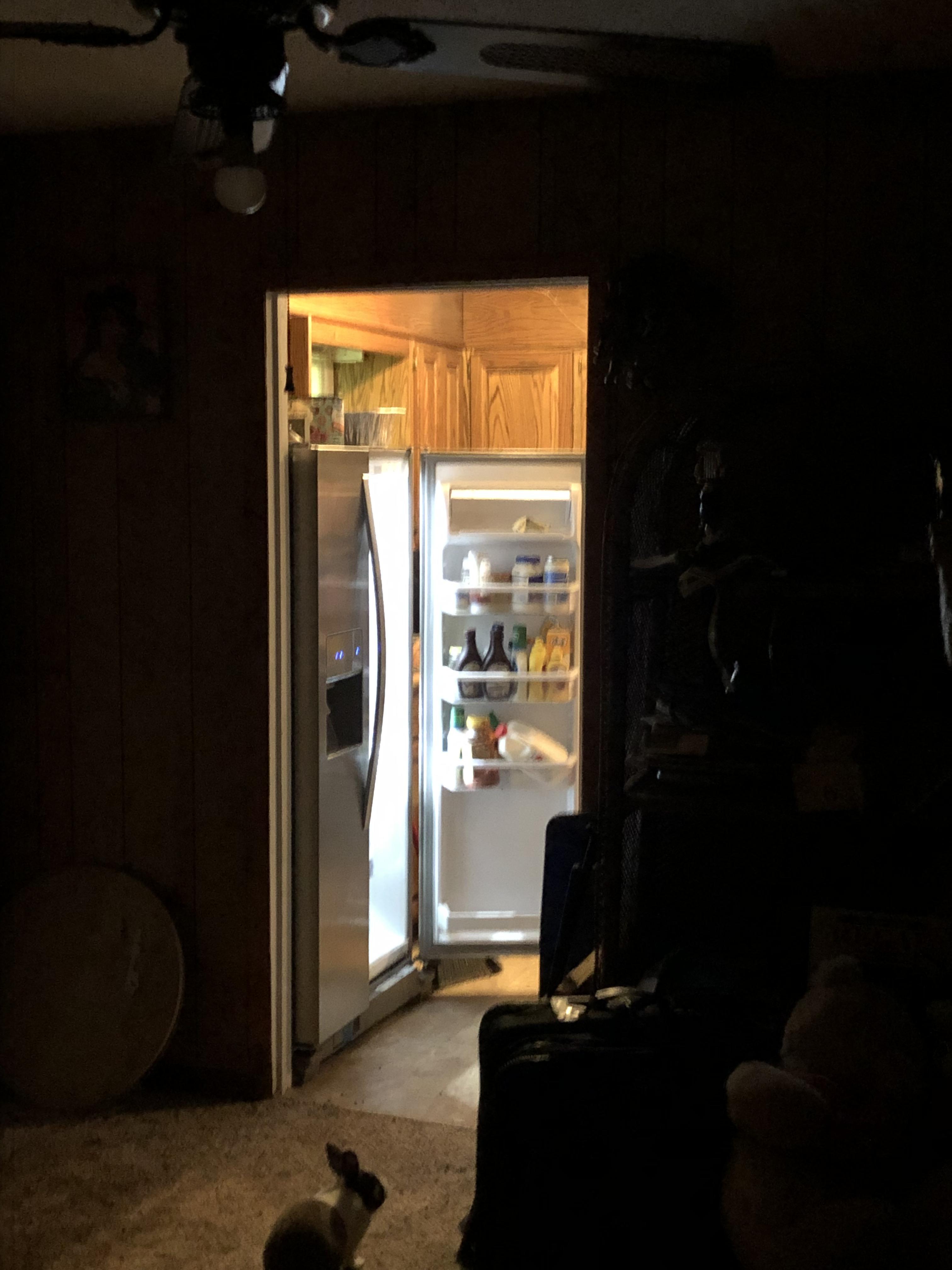 Mother in law leaves the refrigerator door open the whole time she