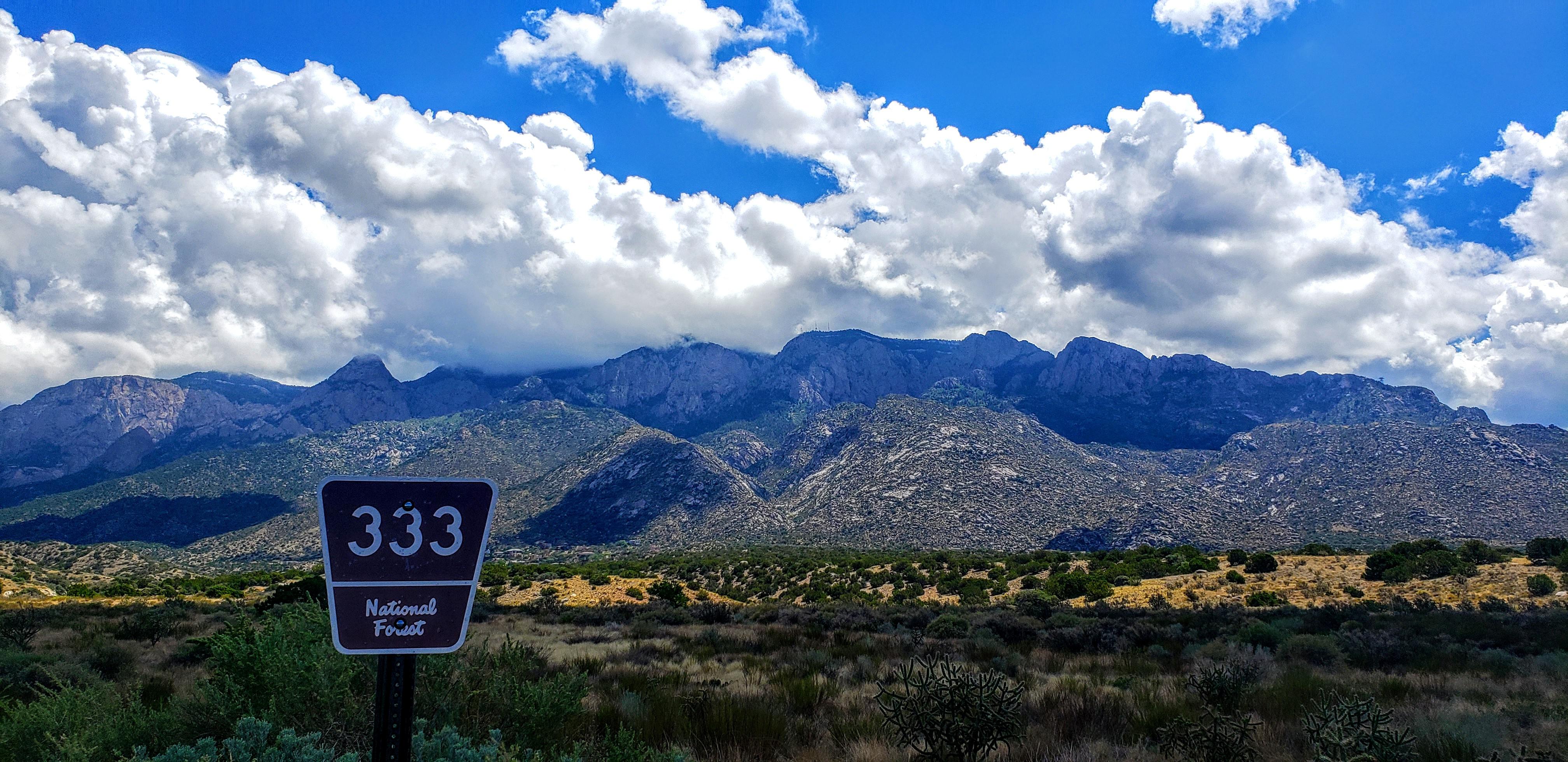 The Sandias in the clouds this morning r/Albuquerque