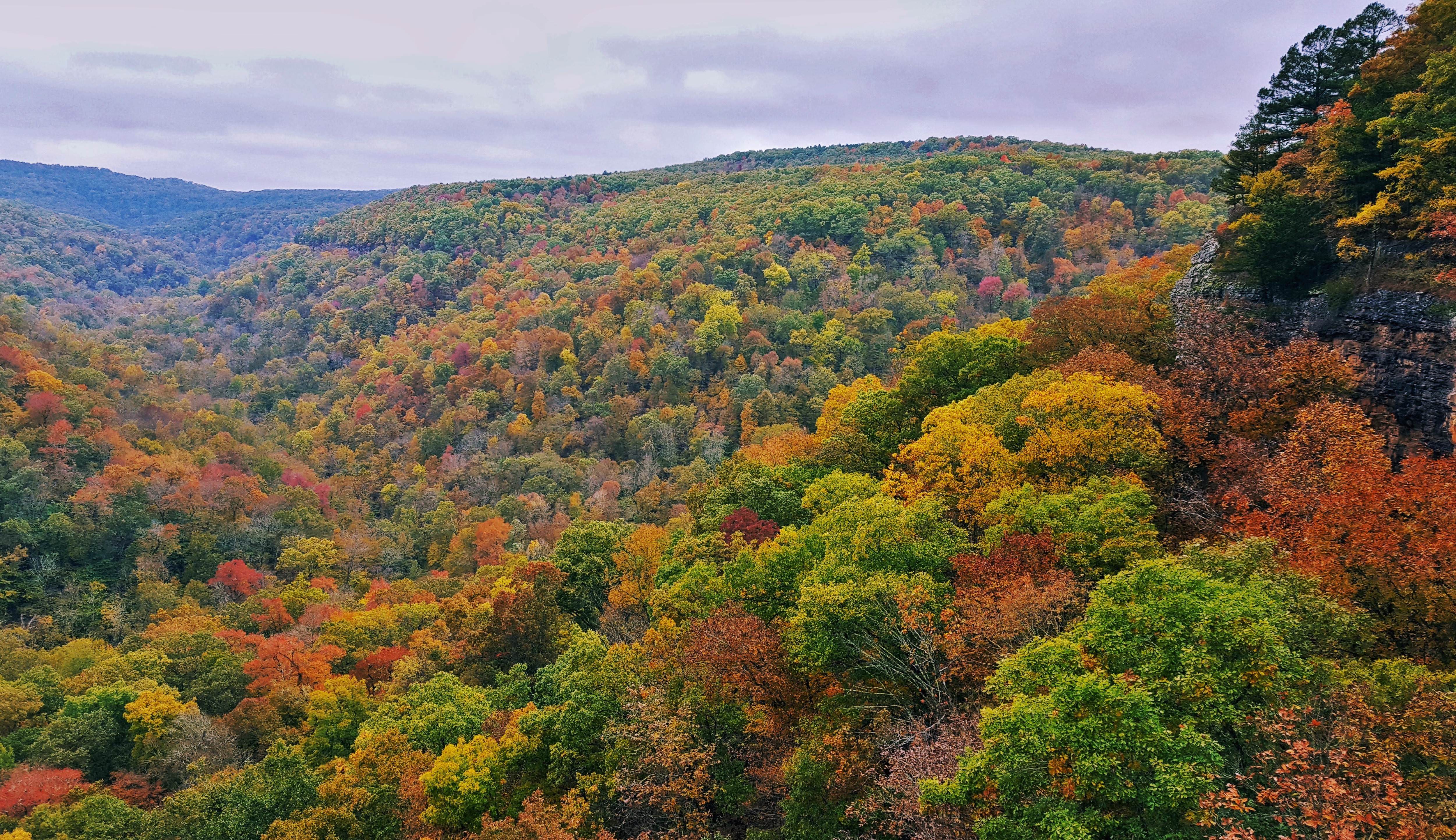 We've had a cold October and the fall colors are looking astounding in the Ozarks this year [OC
