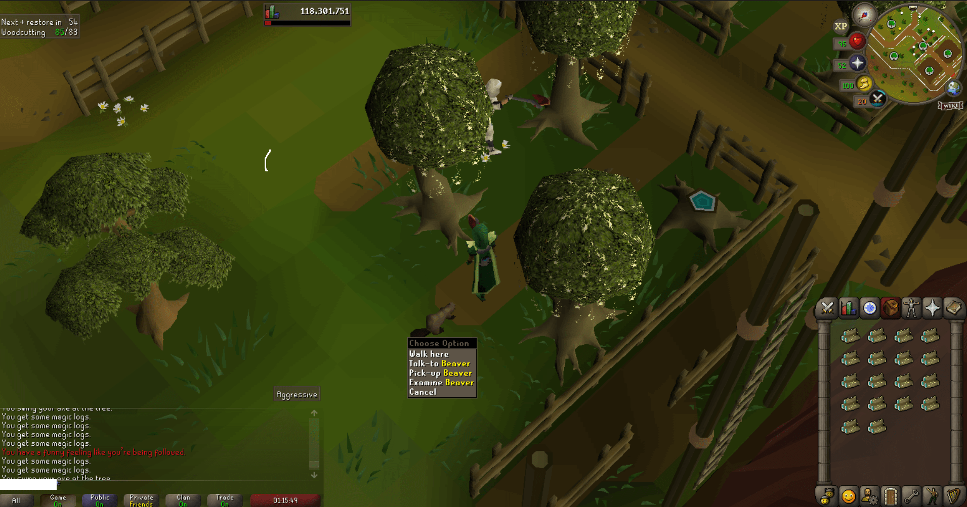 Second pet ever on osrs! r/2007scape