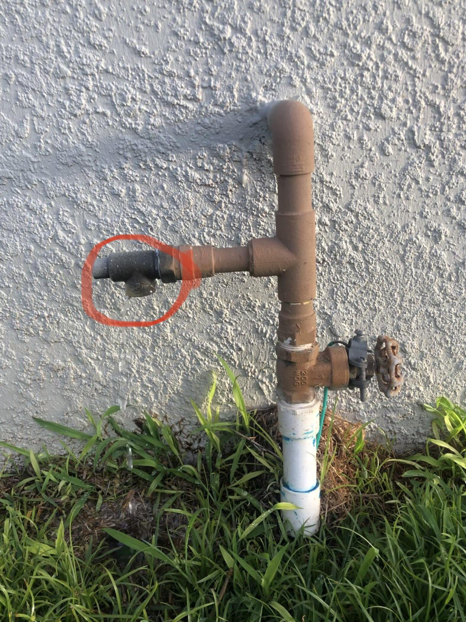 Main water shut off line dripping out the side. I went on the side of