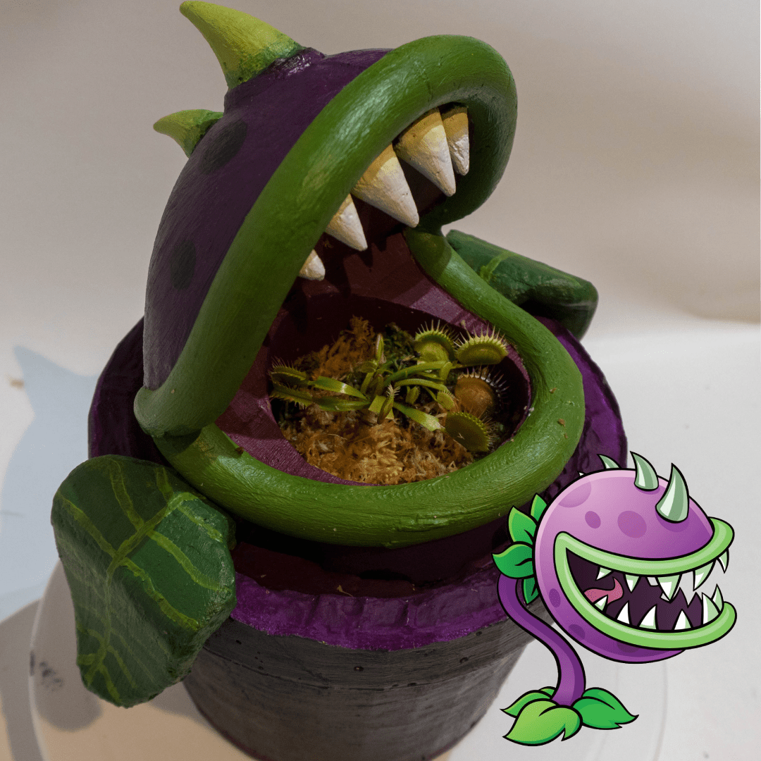 Cannibalistic planter for our Venus Fly Trap! r/SavageGarden
