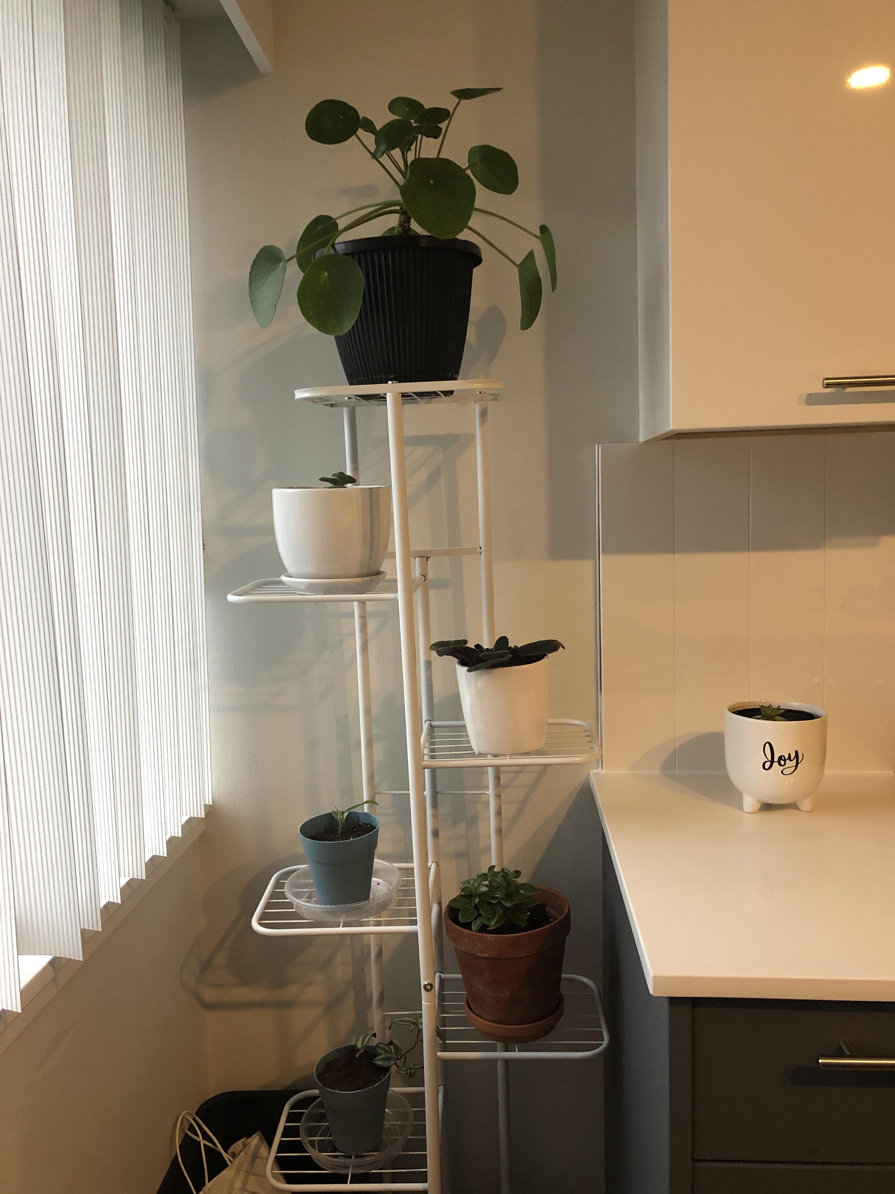 Grow light r/houseplants