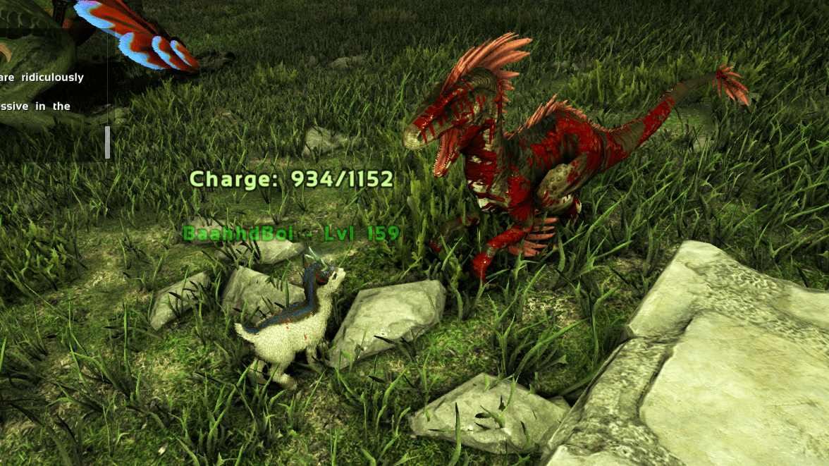 Two days ago I lost my favorite Shinehorn while gliding on my rock